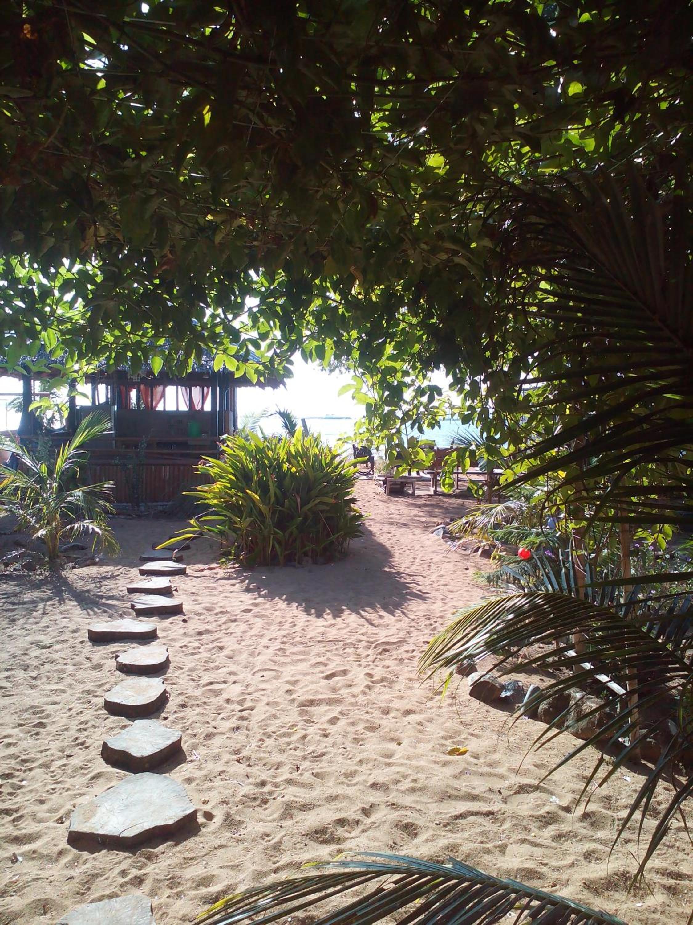 Photo 41