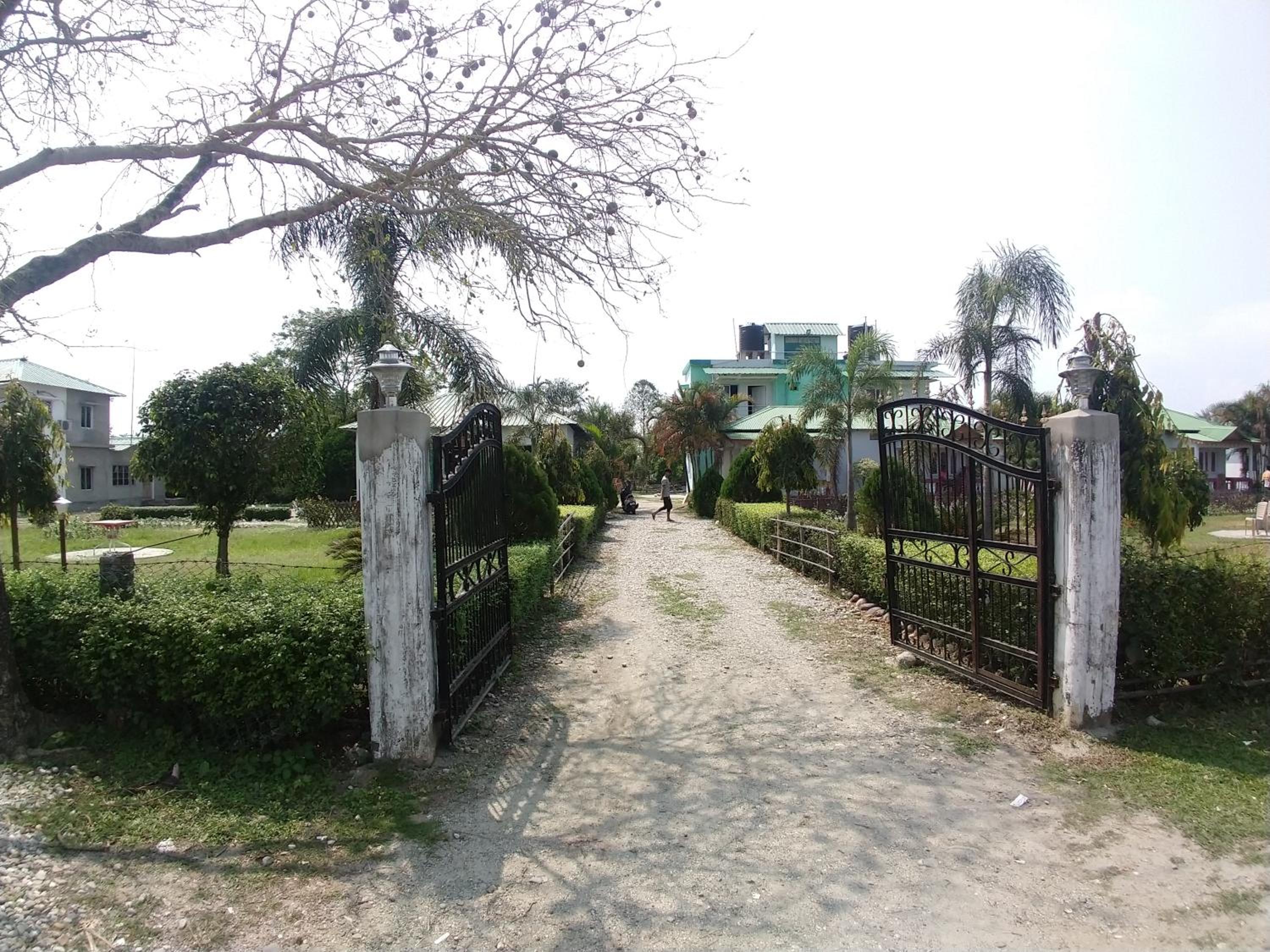 Photo 20