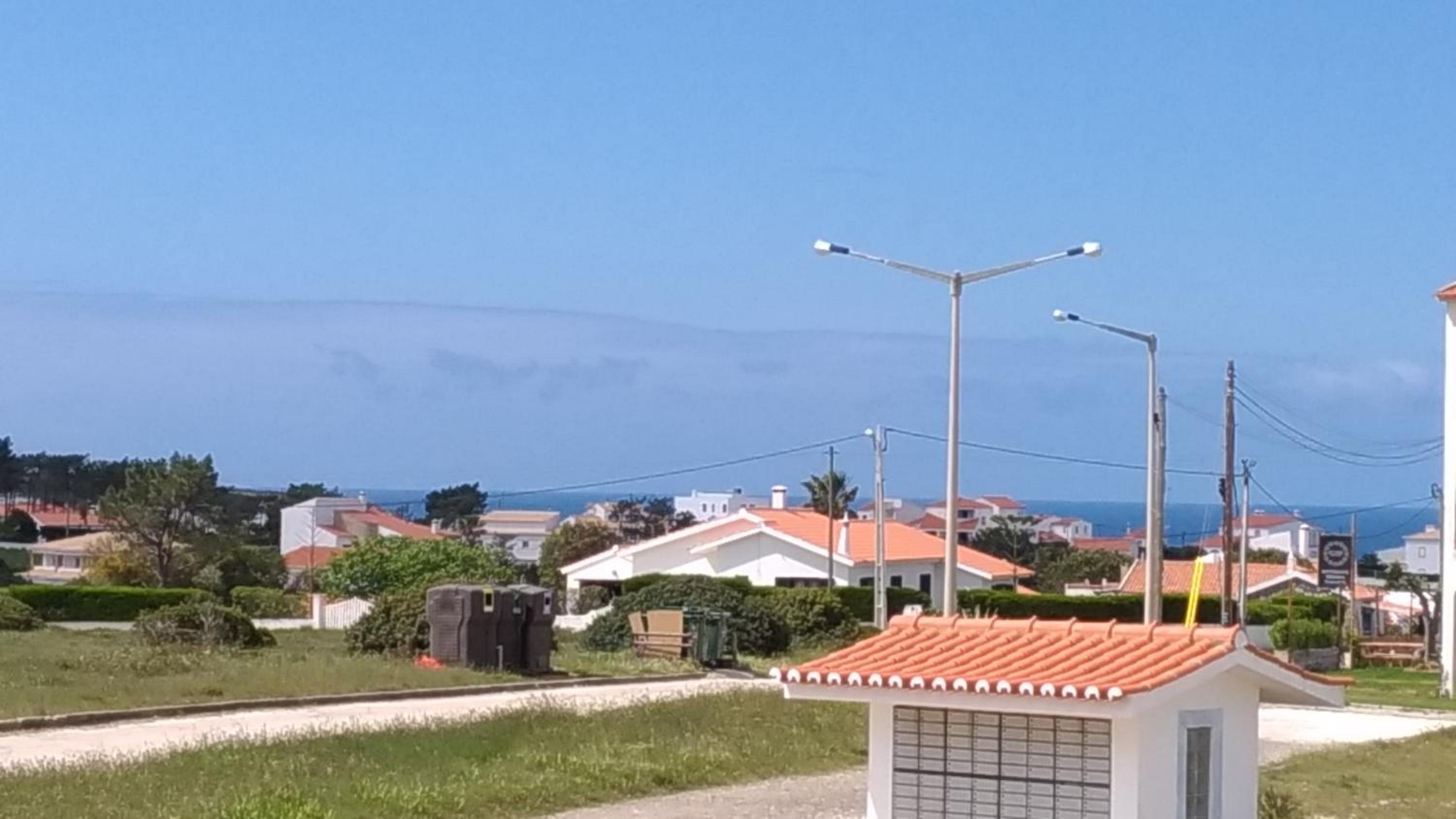 Cegonha do mar view 5