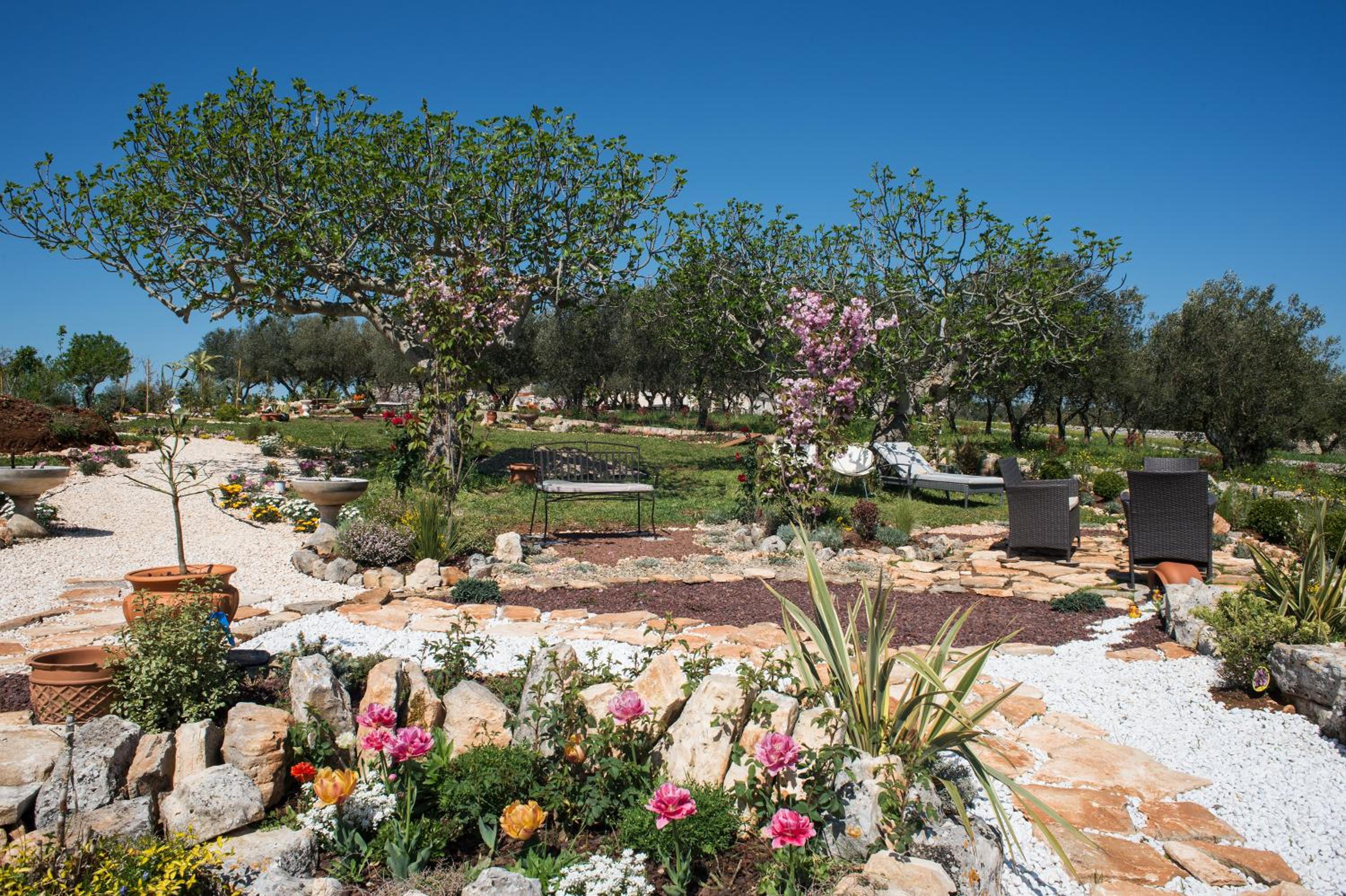 16 Trulli e Giardini