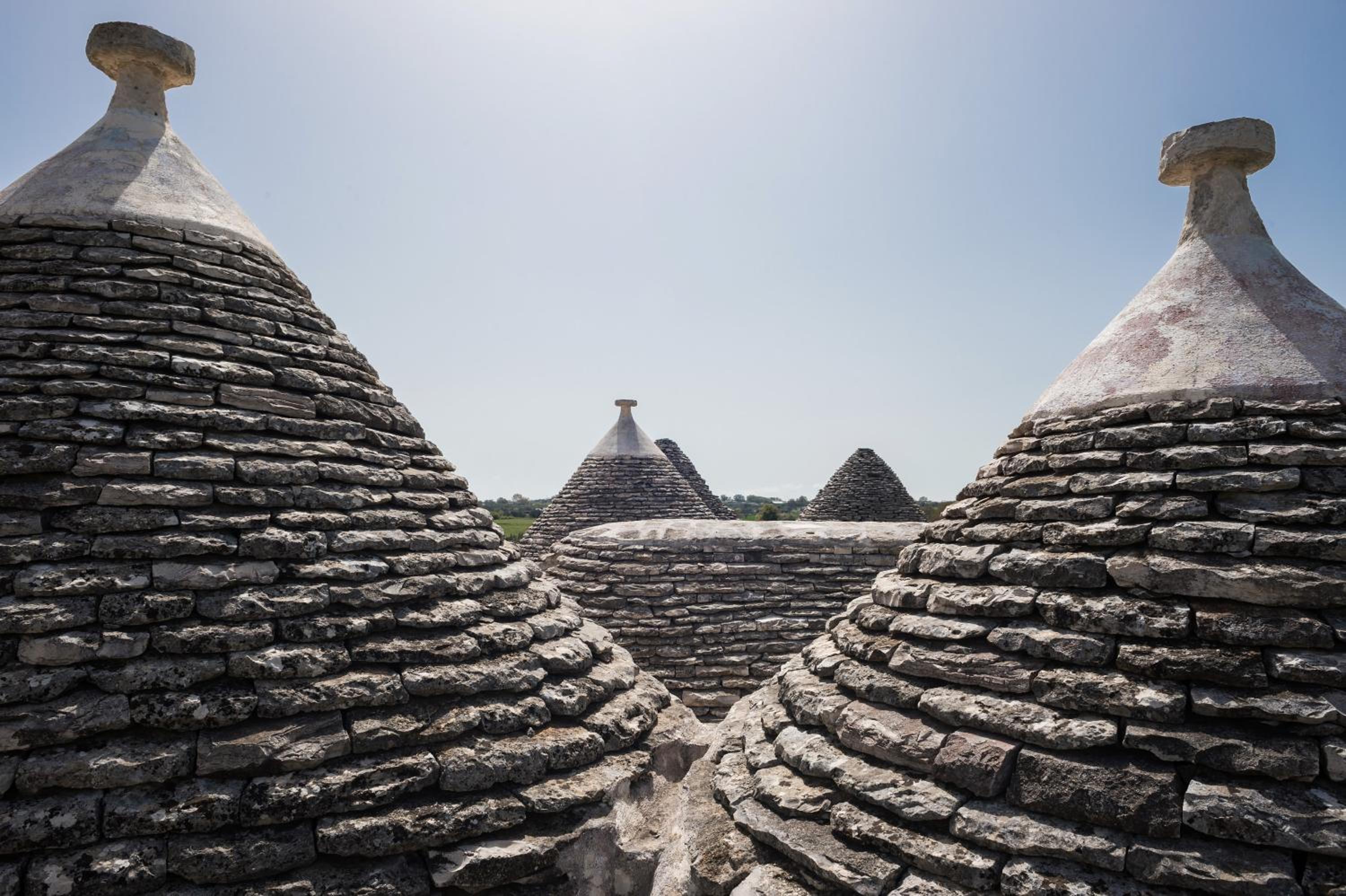 16 Trulli e Giardini