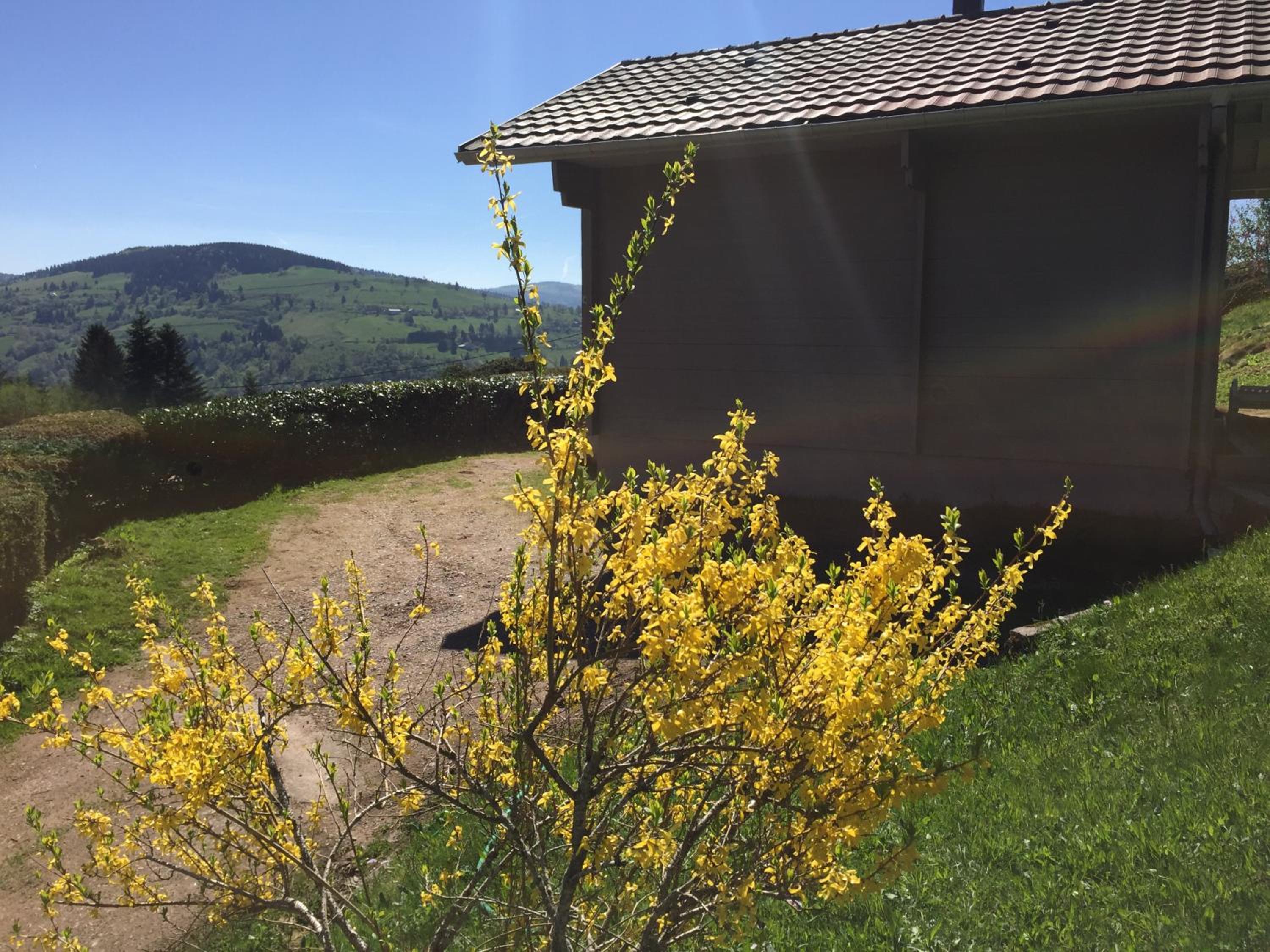 Les Bruyeres