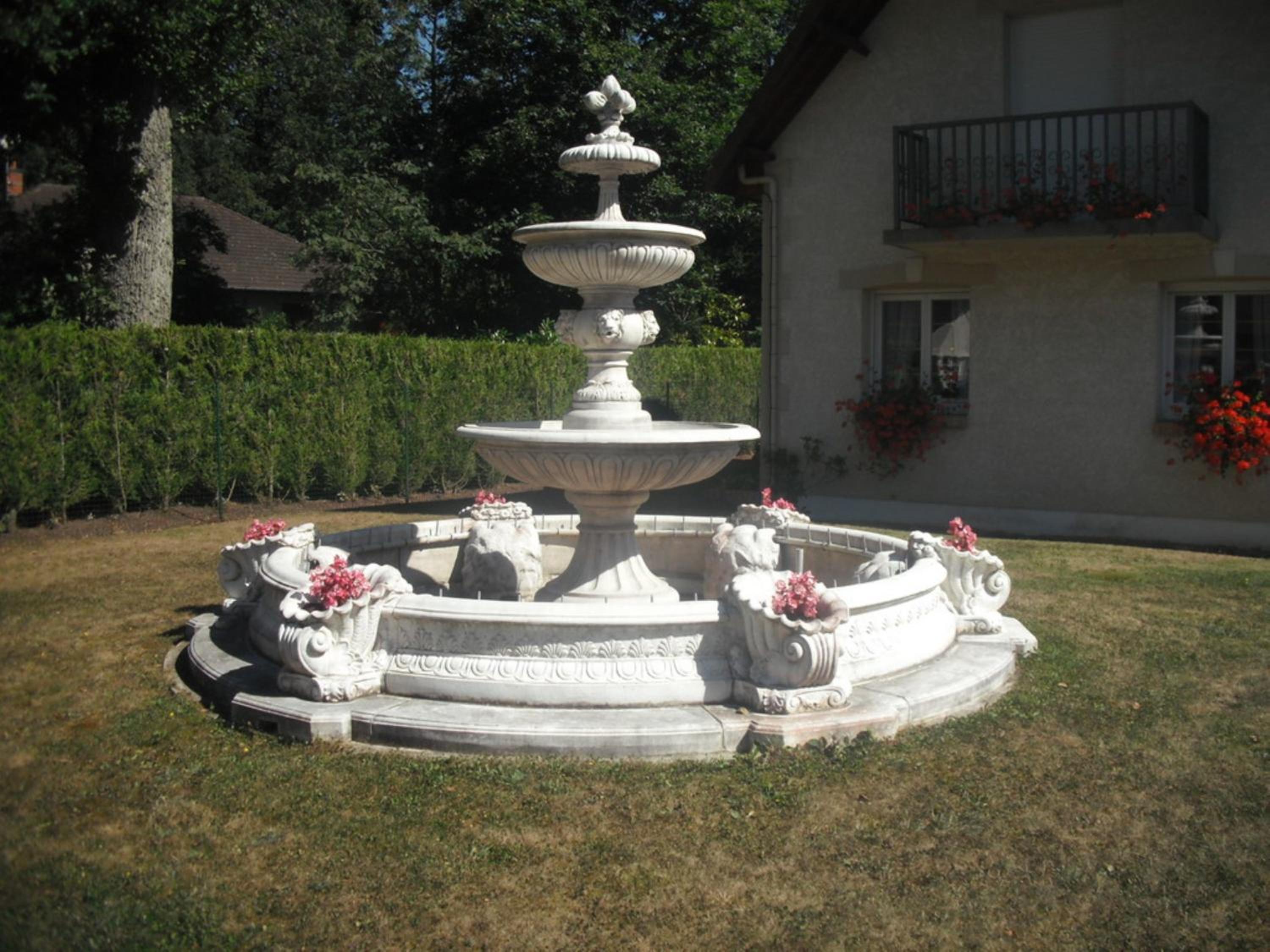 Photo 11