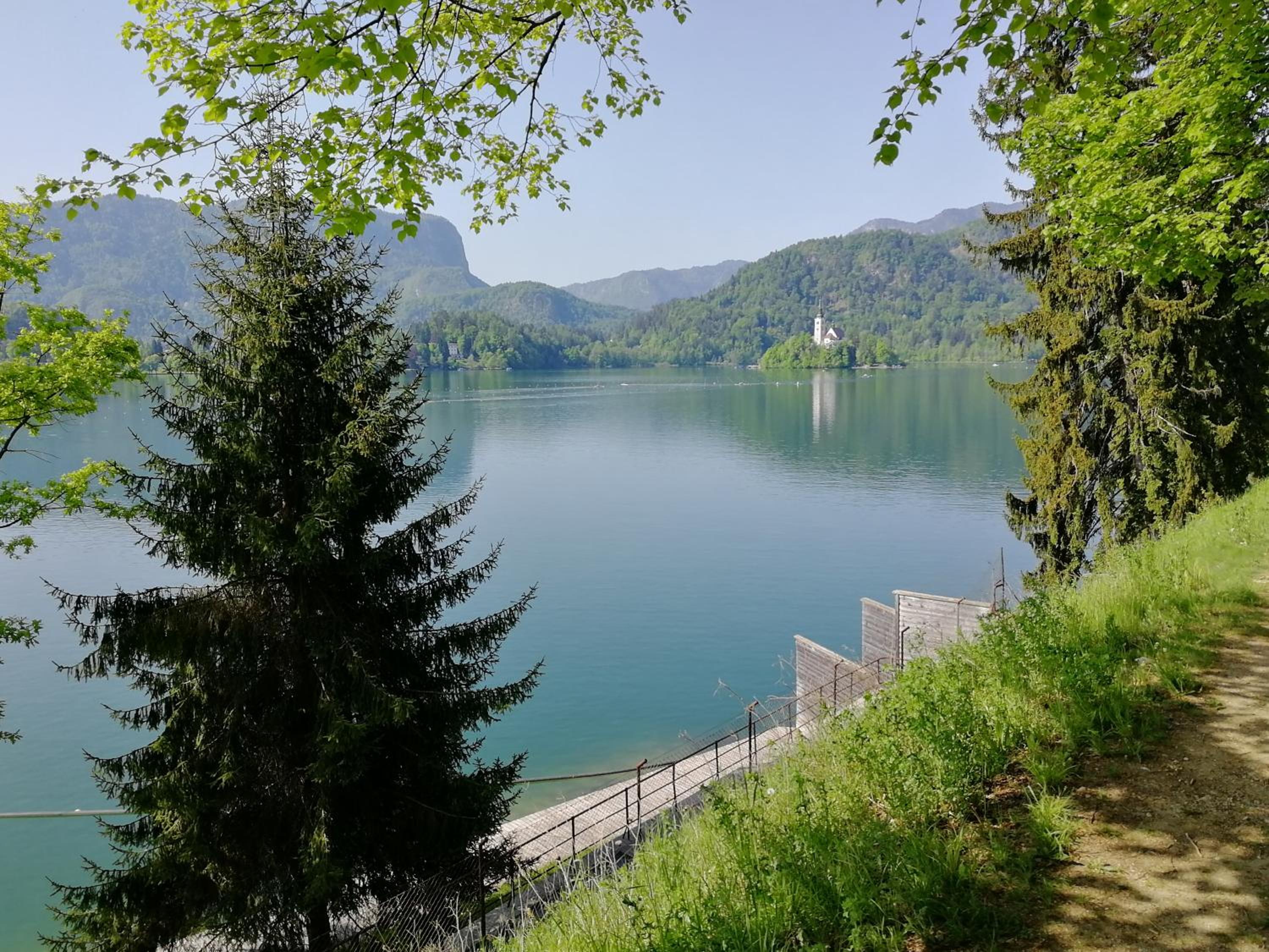 Photo 17