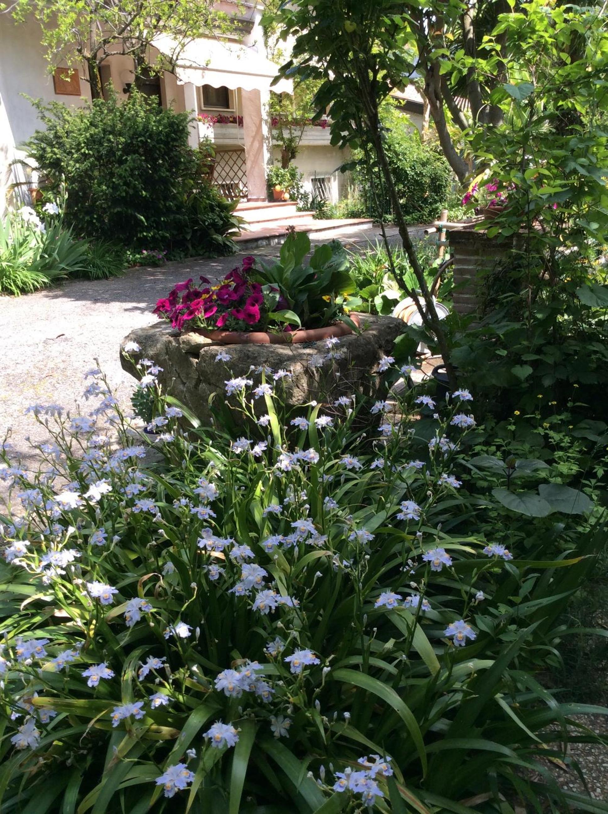 B&B Oasi di Venezia view 2