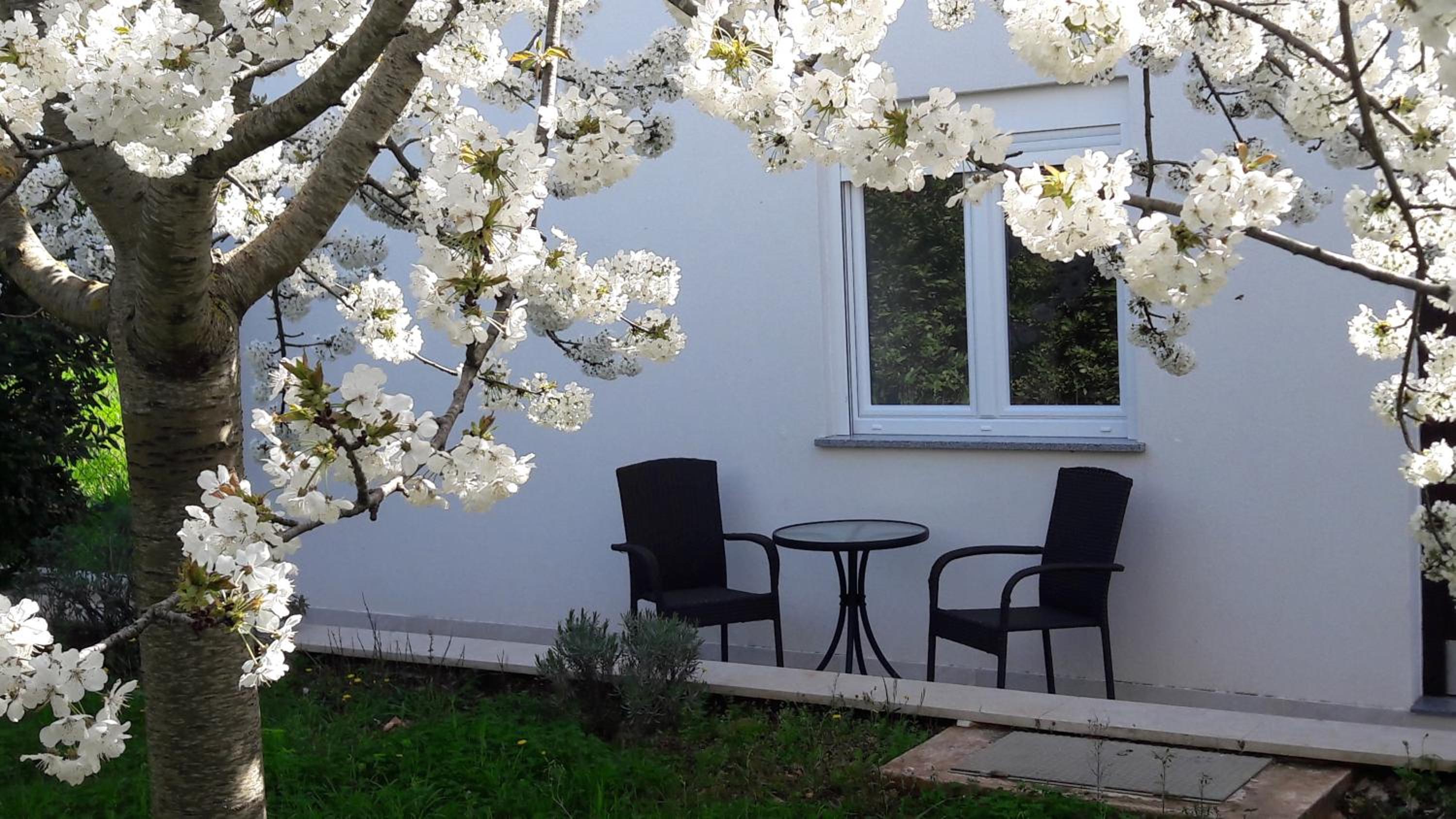 Apartment Greeny view 4