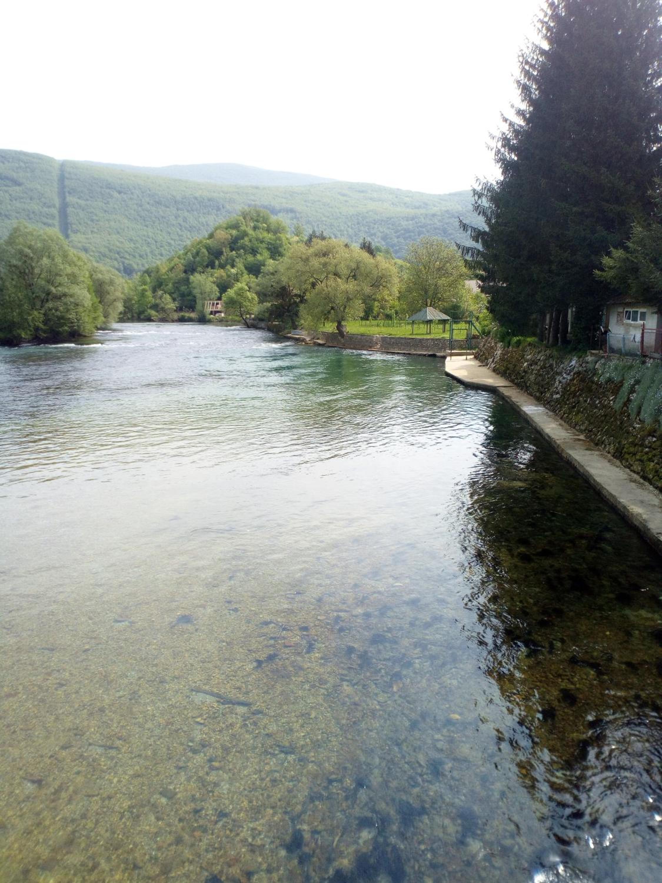 Photo 44