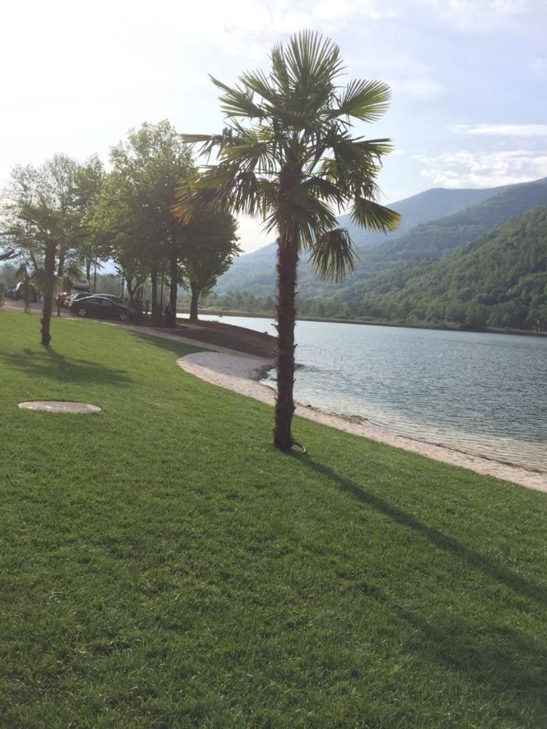 Silvy view 4
