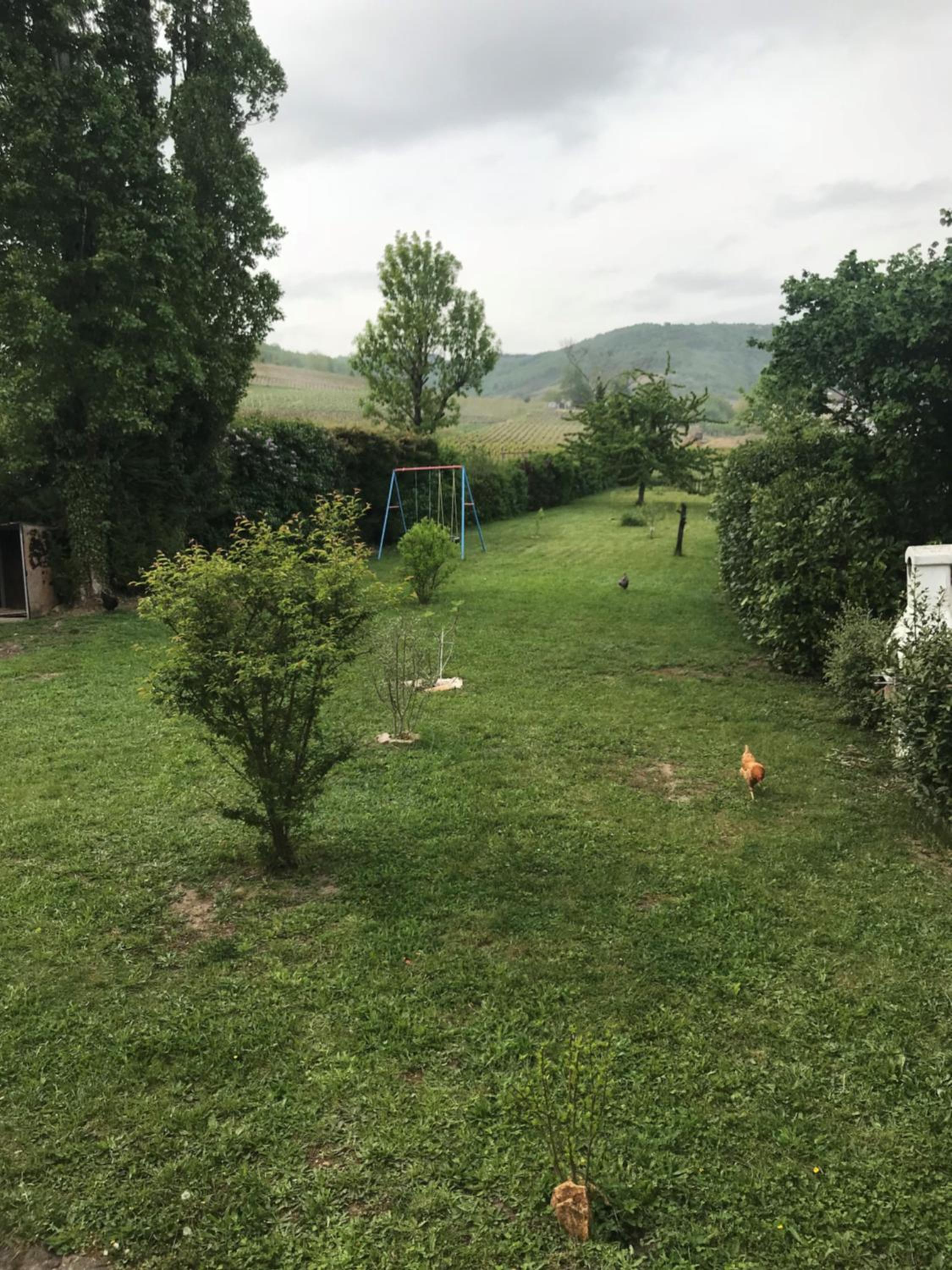 Maison LES BLEUETS view 2