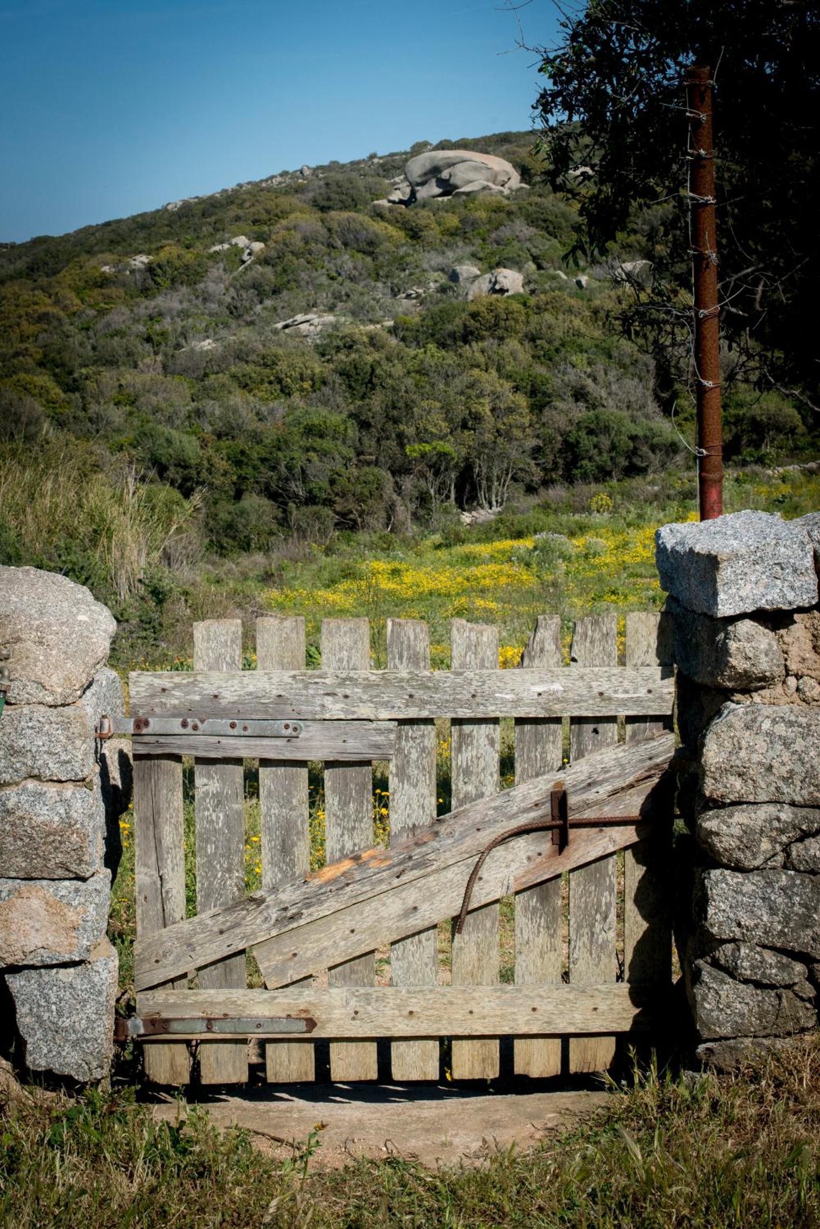 Agriturismo La Tana di Lu Maccioni