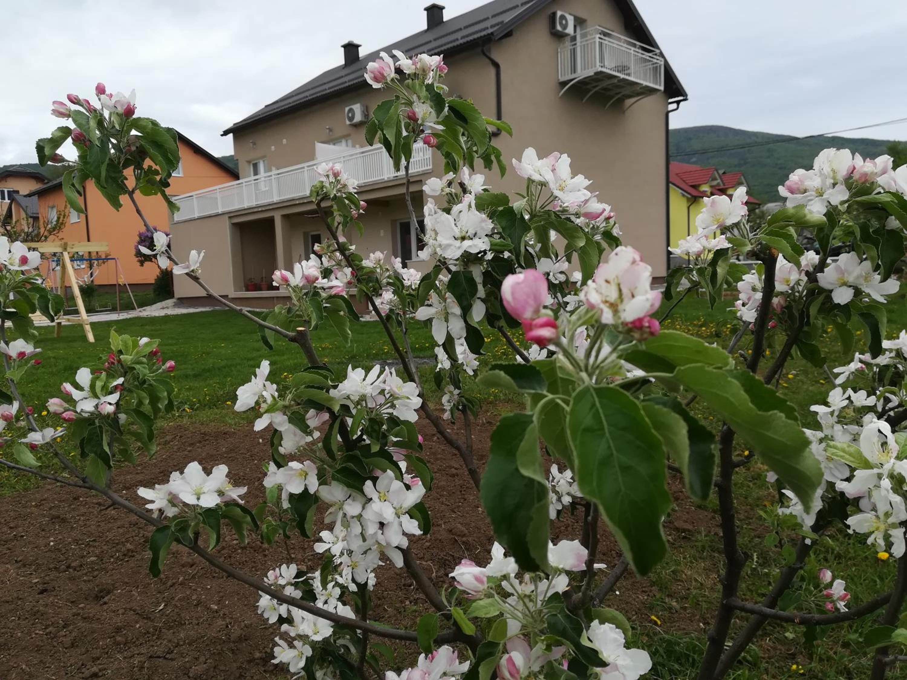 Photo 40