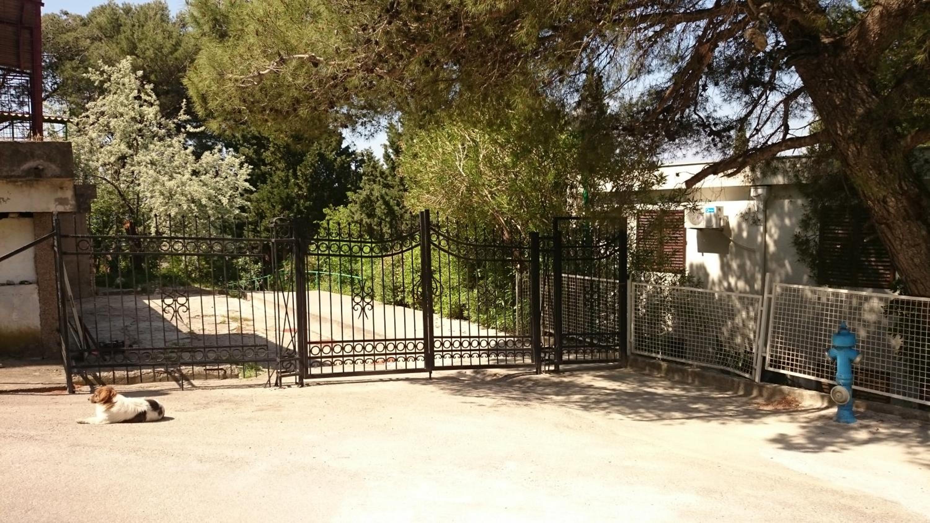 BG apartman