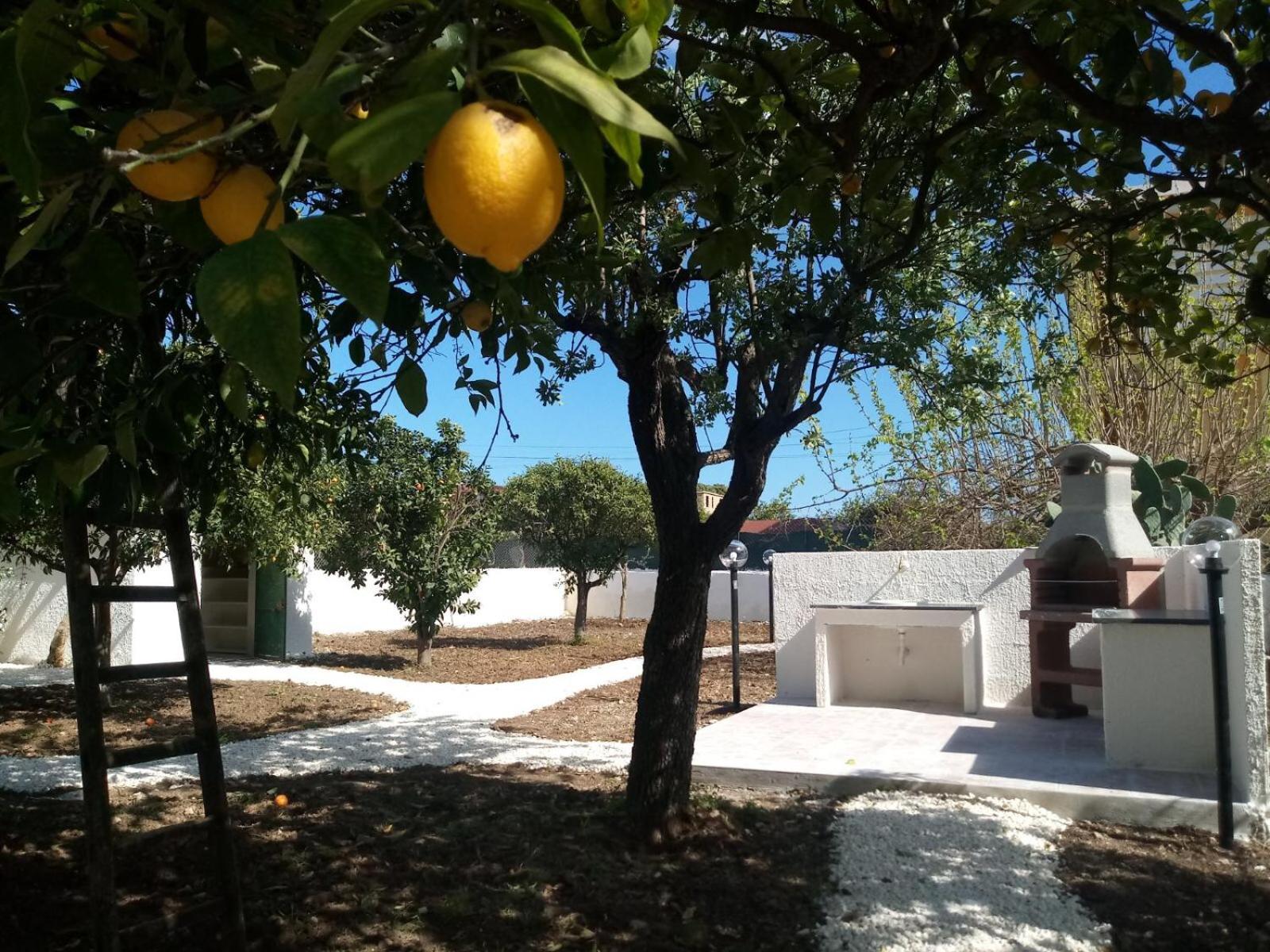 Villa del Falso Pepe photo 2