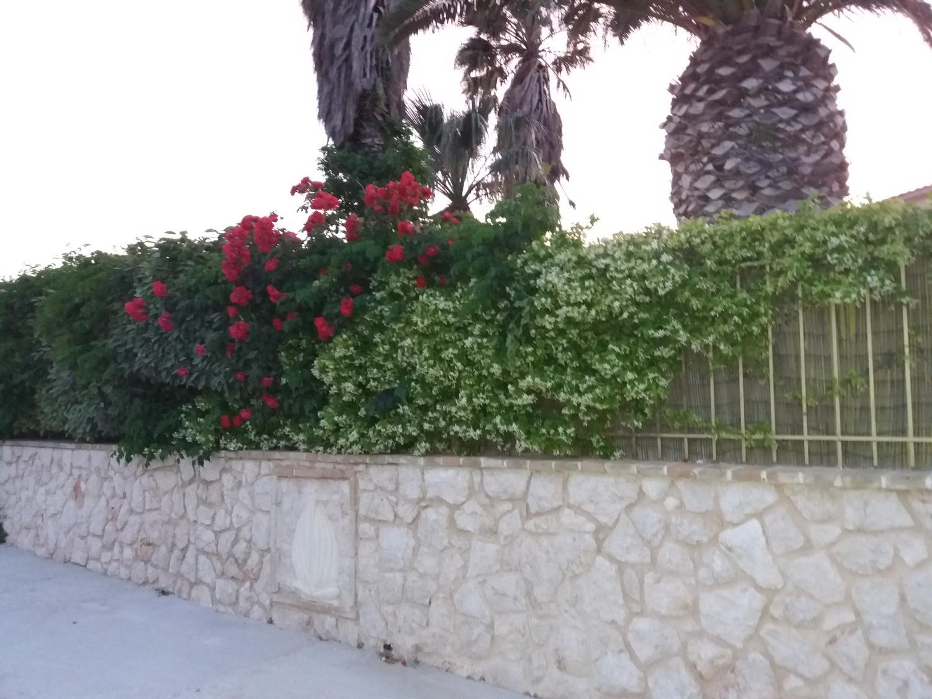 Anavissos Apartment
