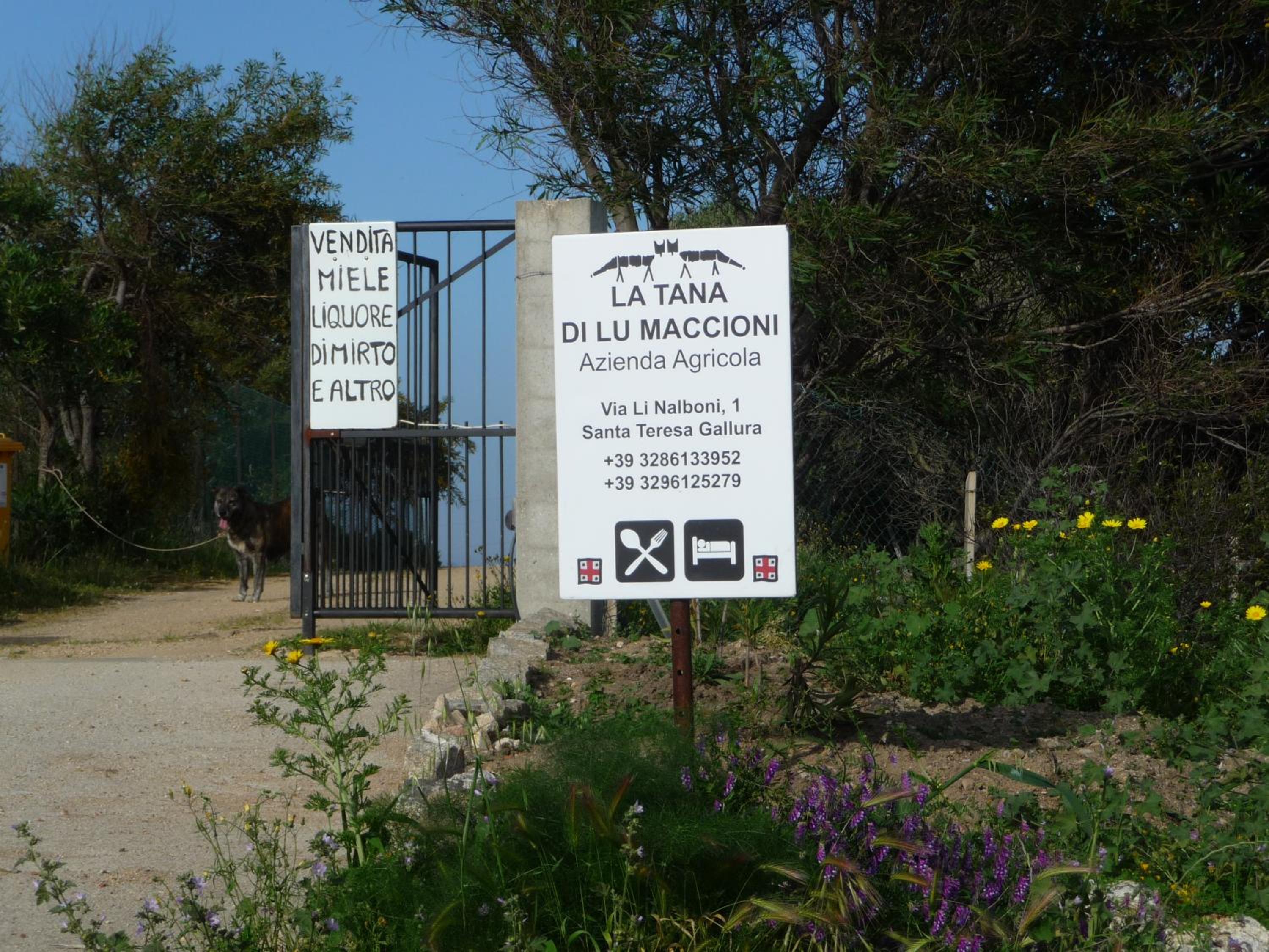 Agriturismo La Tana di Lu Maccioni