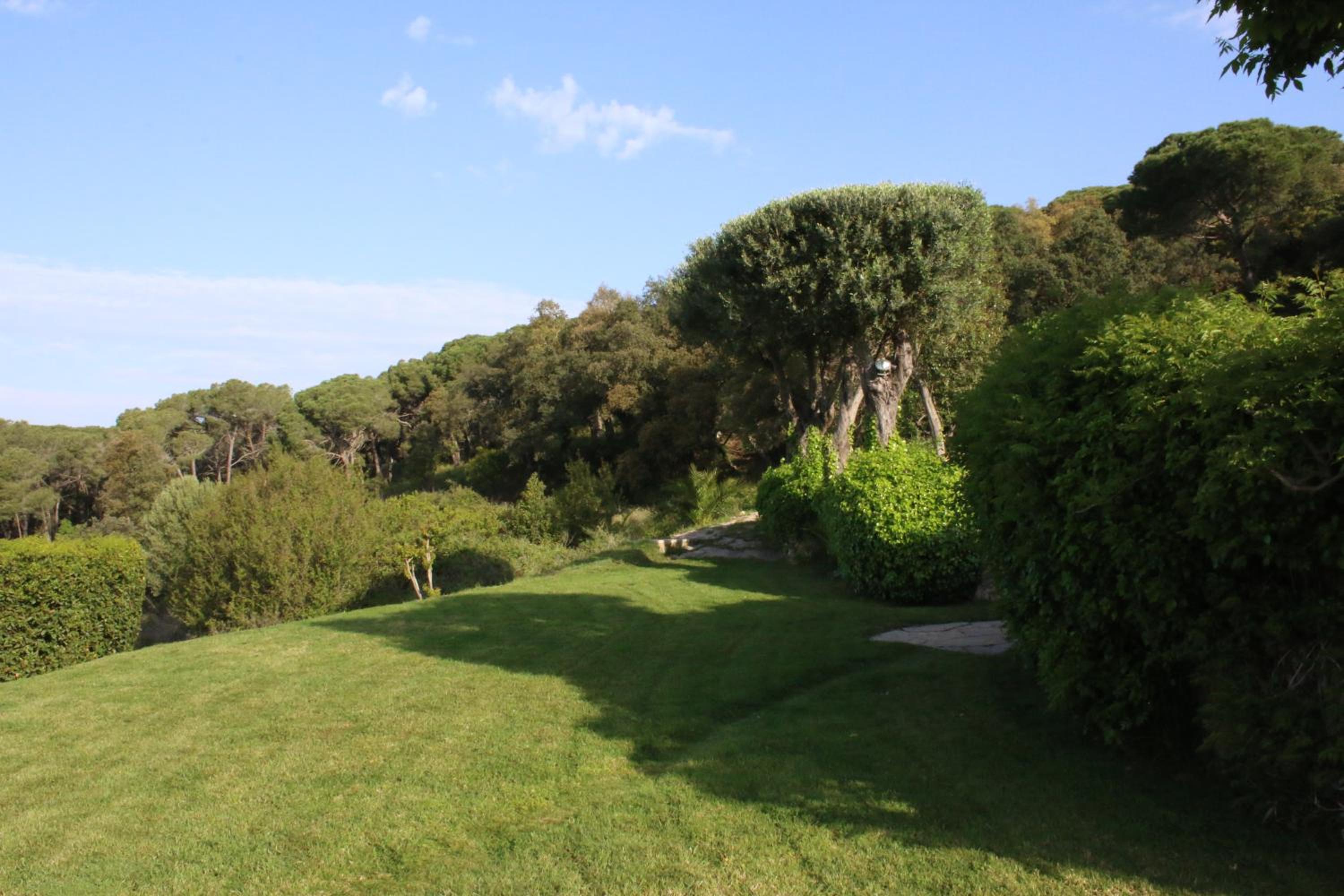The calm house — photo 5