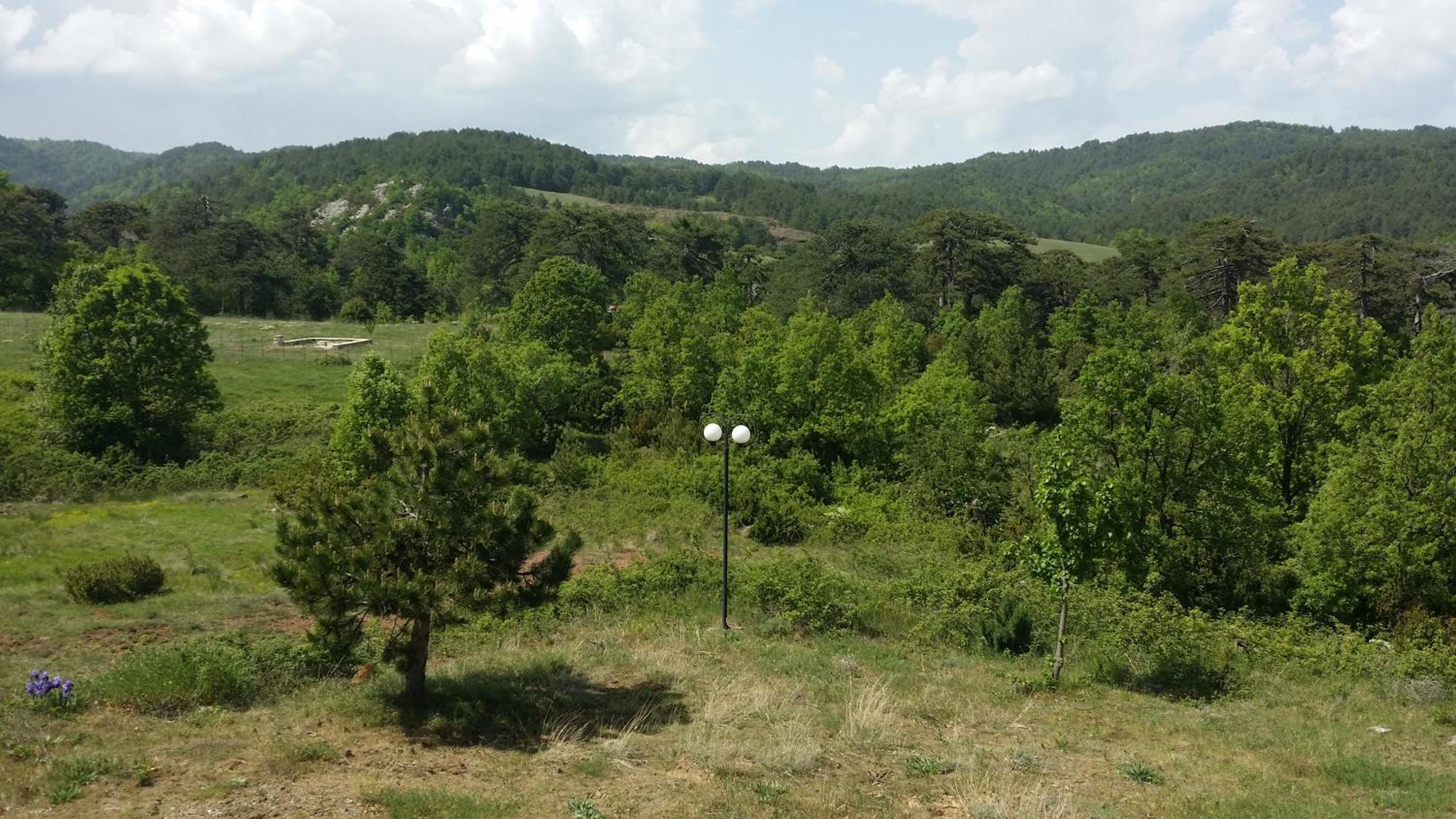 Panorama Kakopleyri Kalabakas