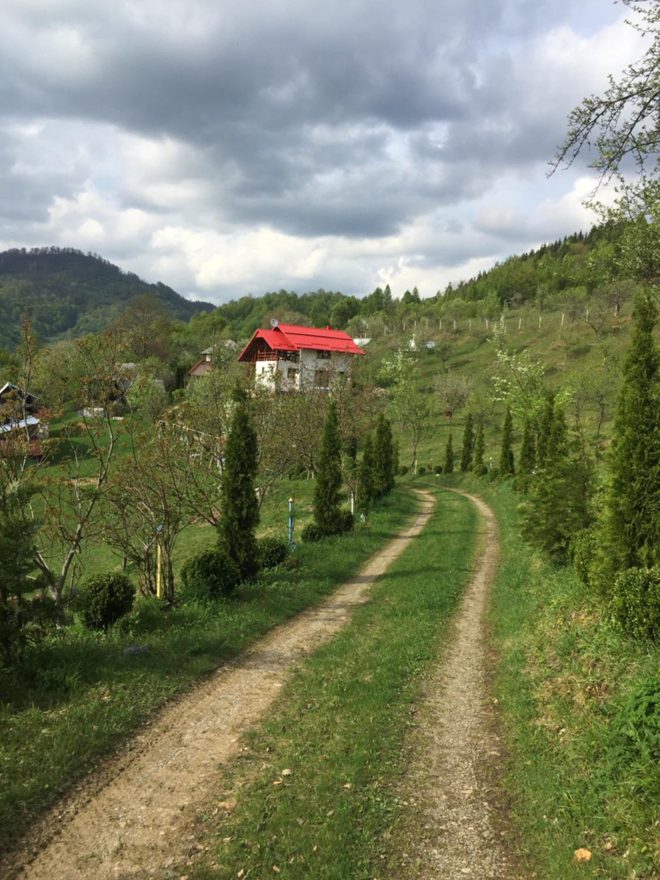 Photo 46