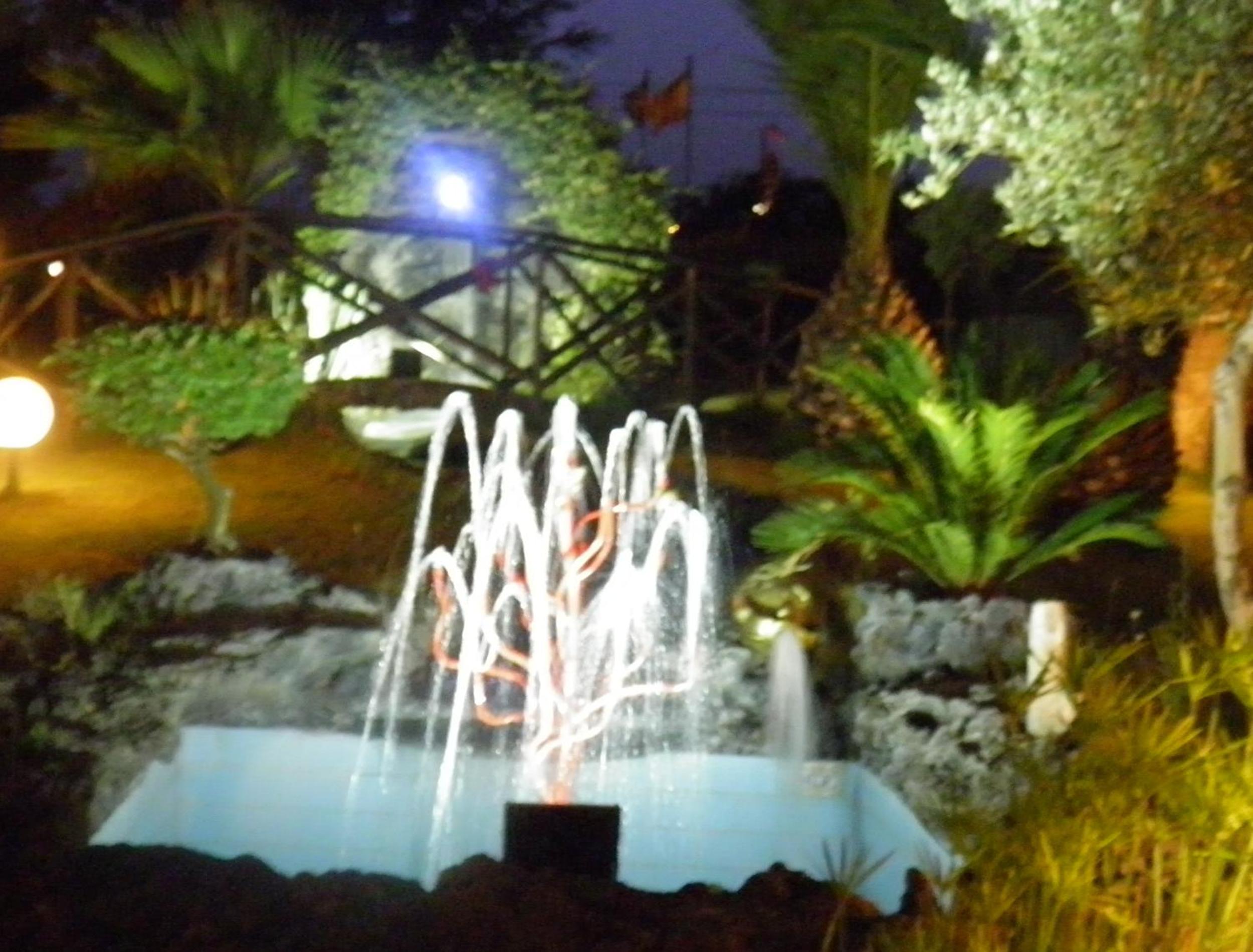 Photo 20