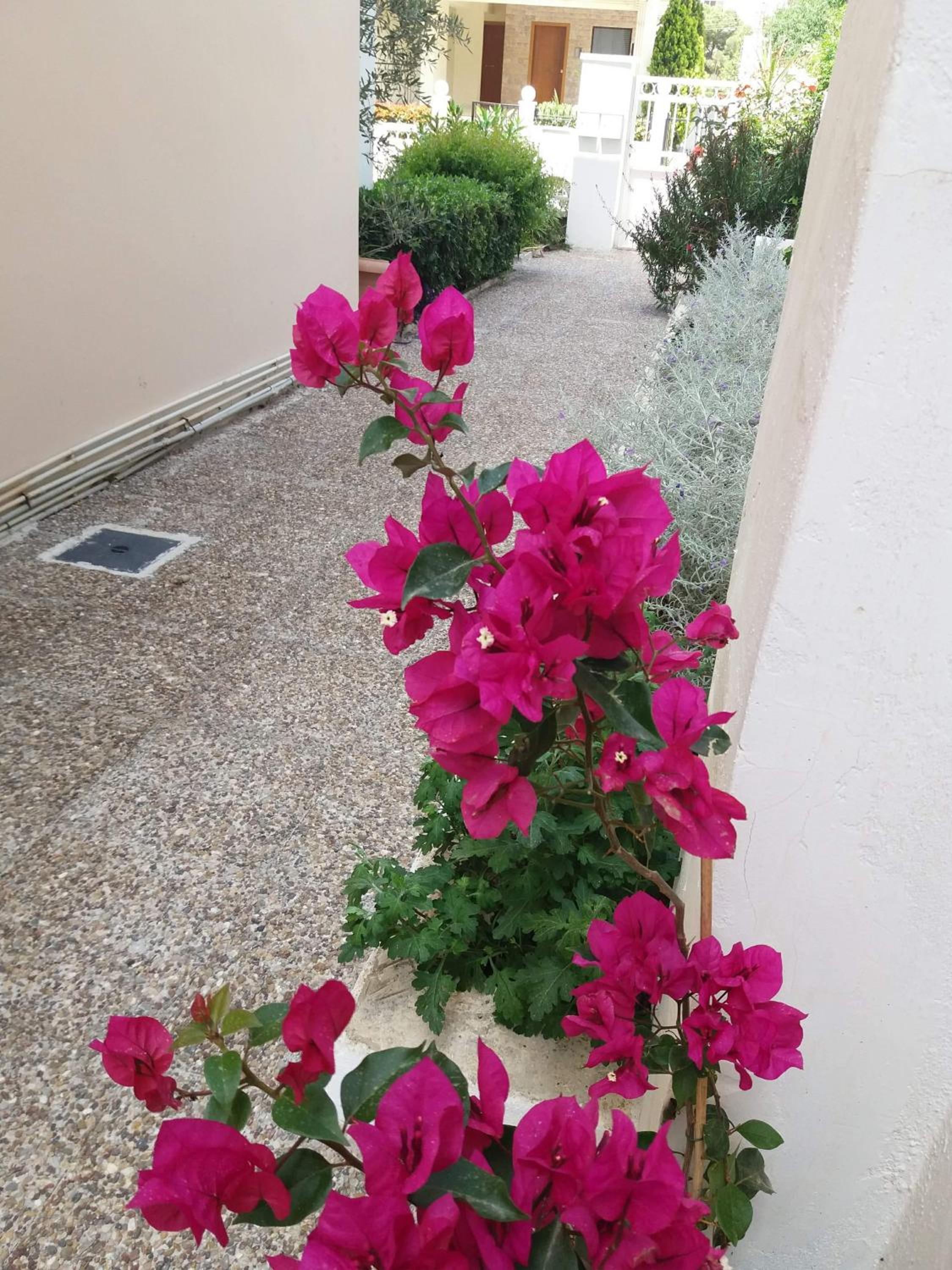 Glyfada Vacation Apt