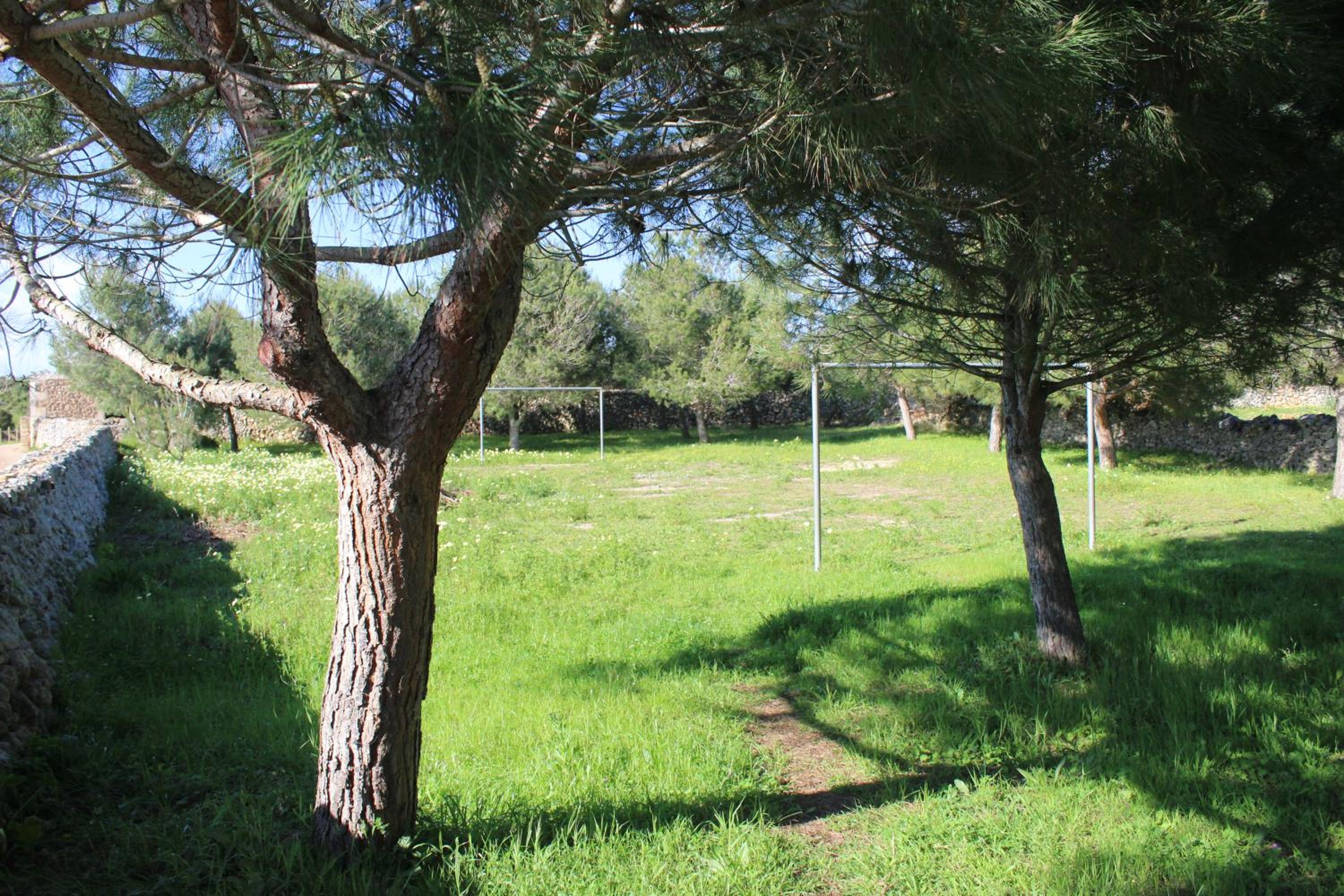 Photo 28