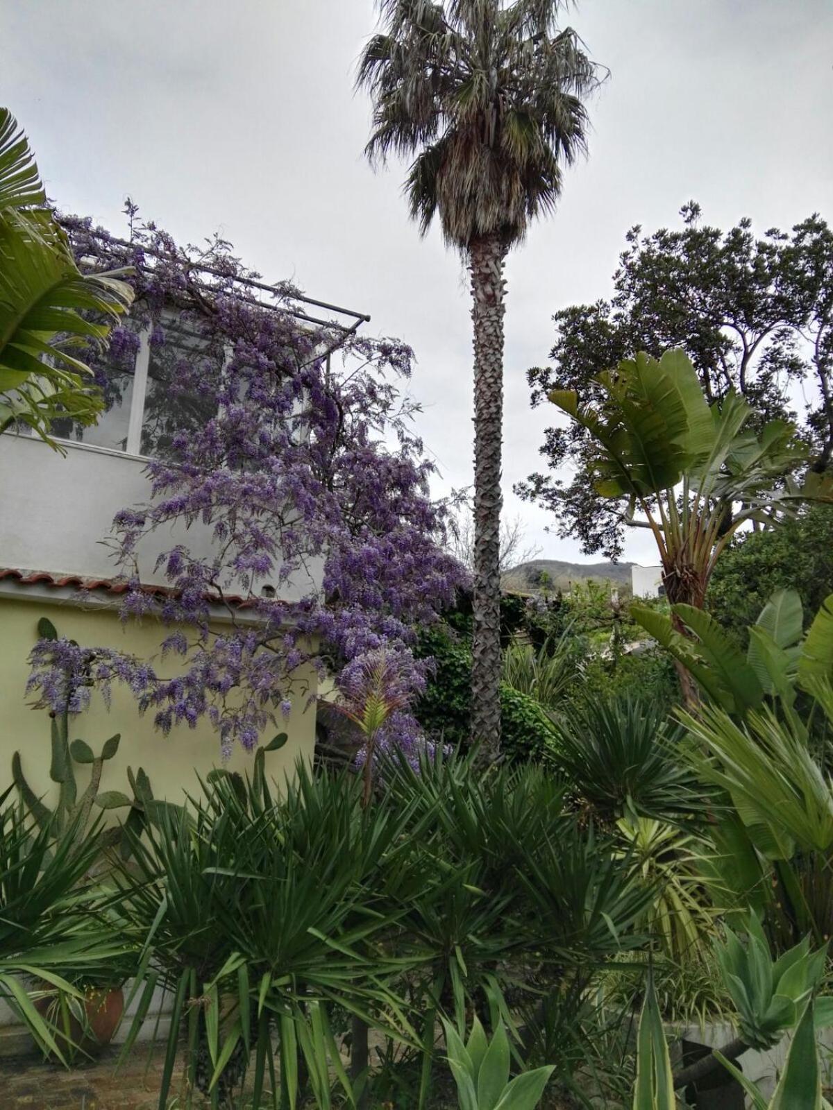 B&B La Salamandra Kitchengarden