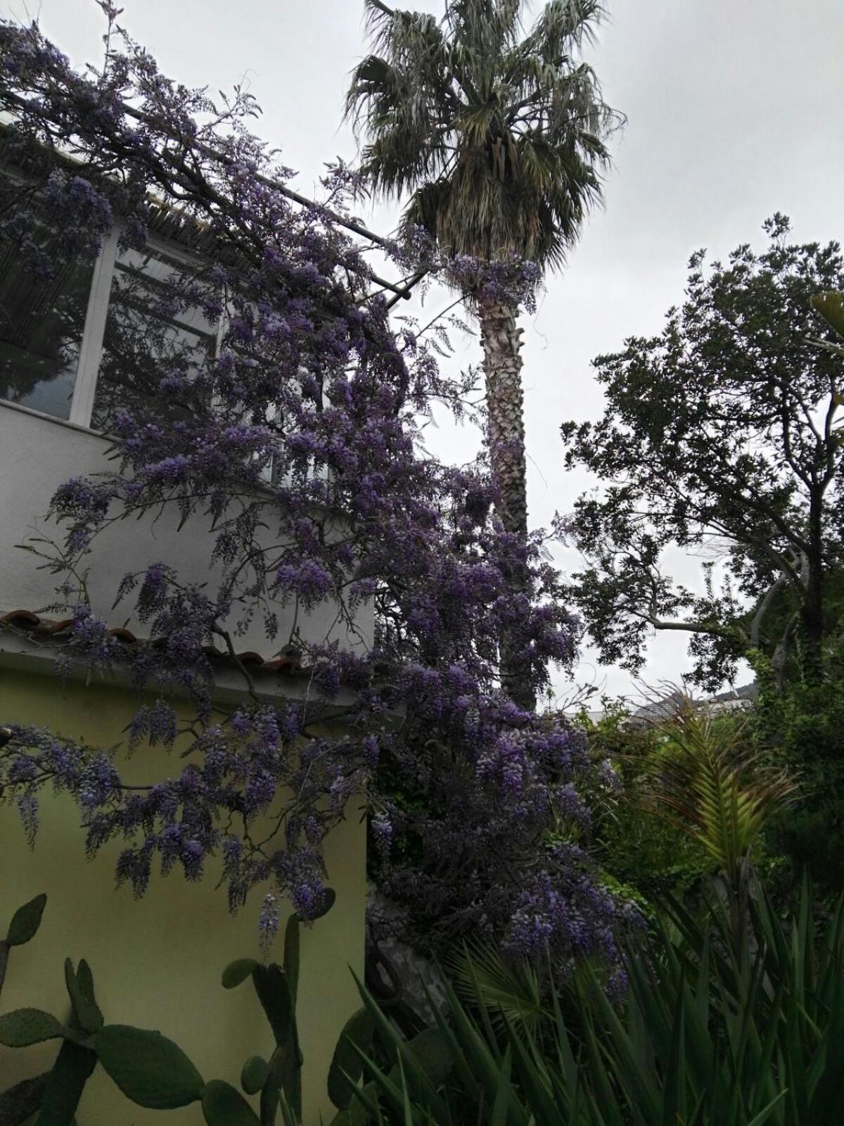 B&B La Salamandra Kitchengarden