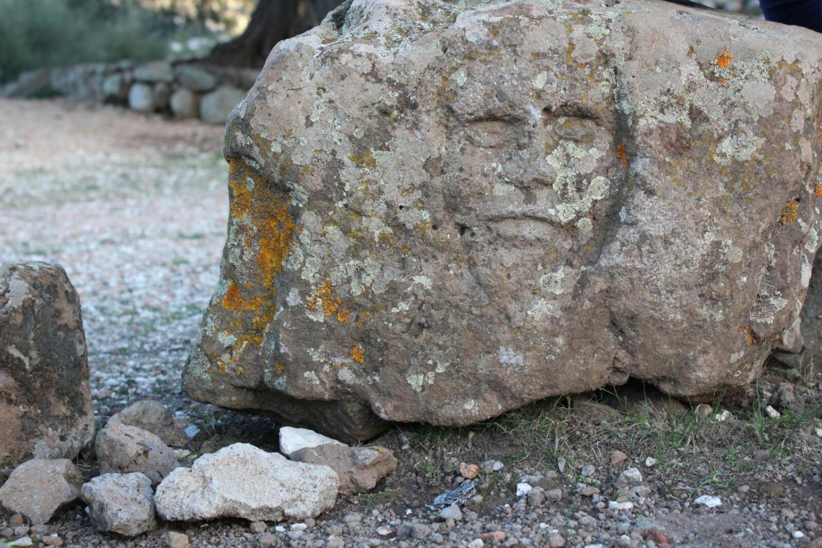 Photo 32