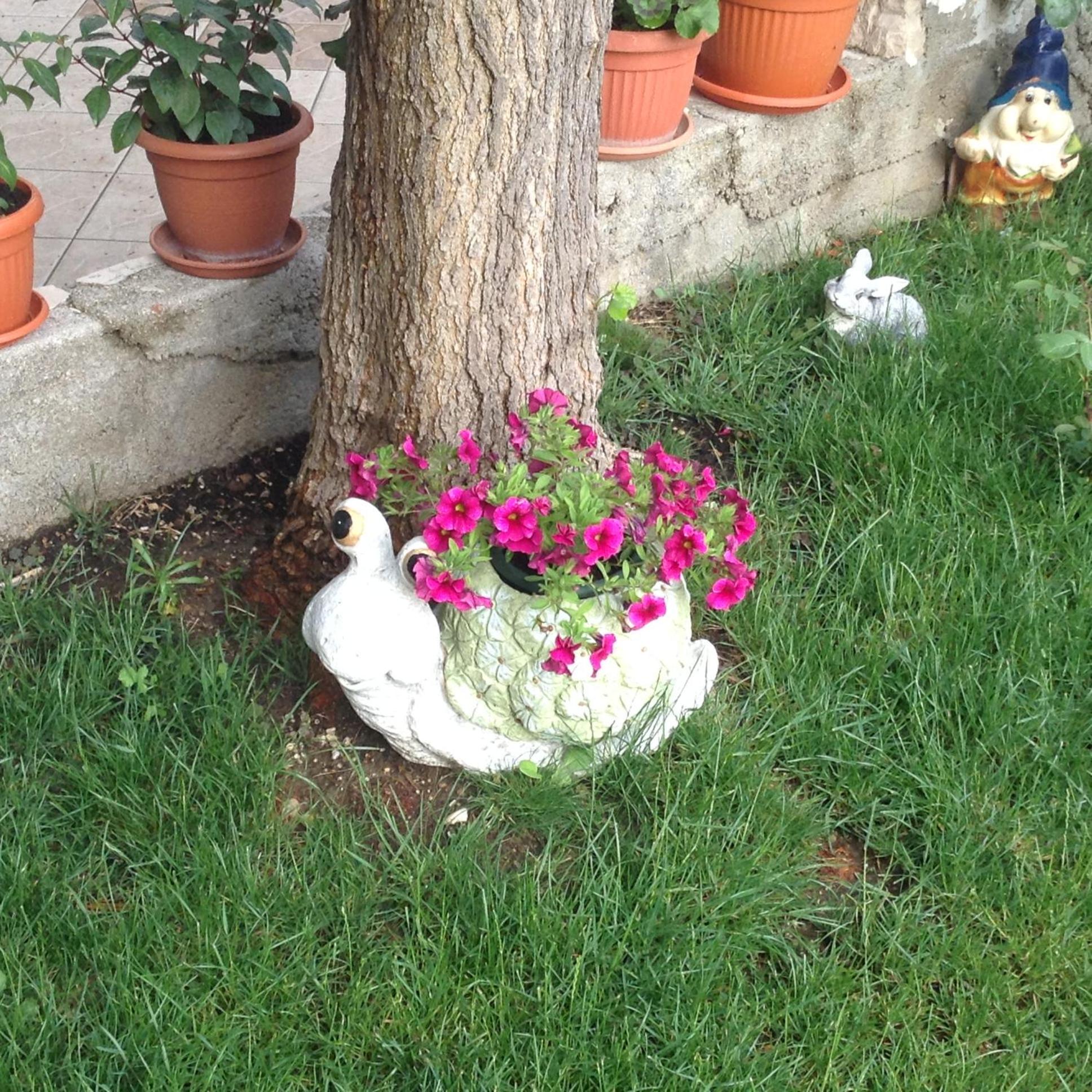 Photo 13
