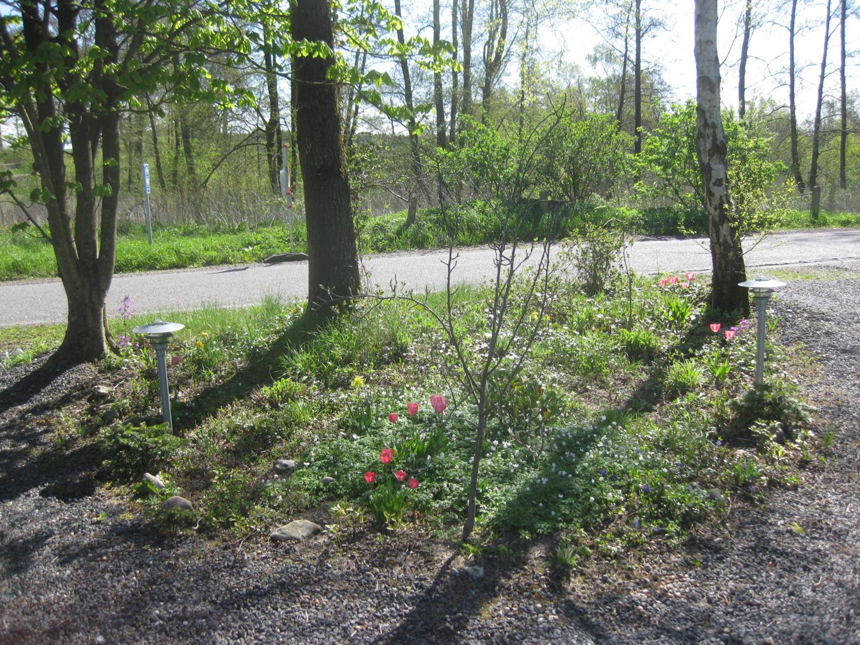 Ved Vandet view 5