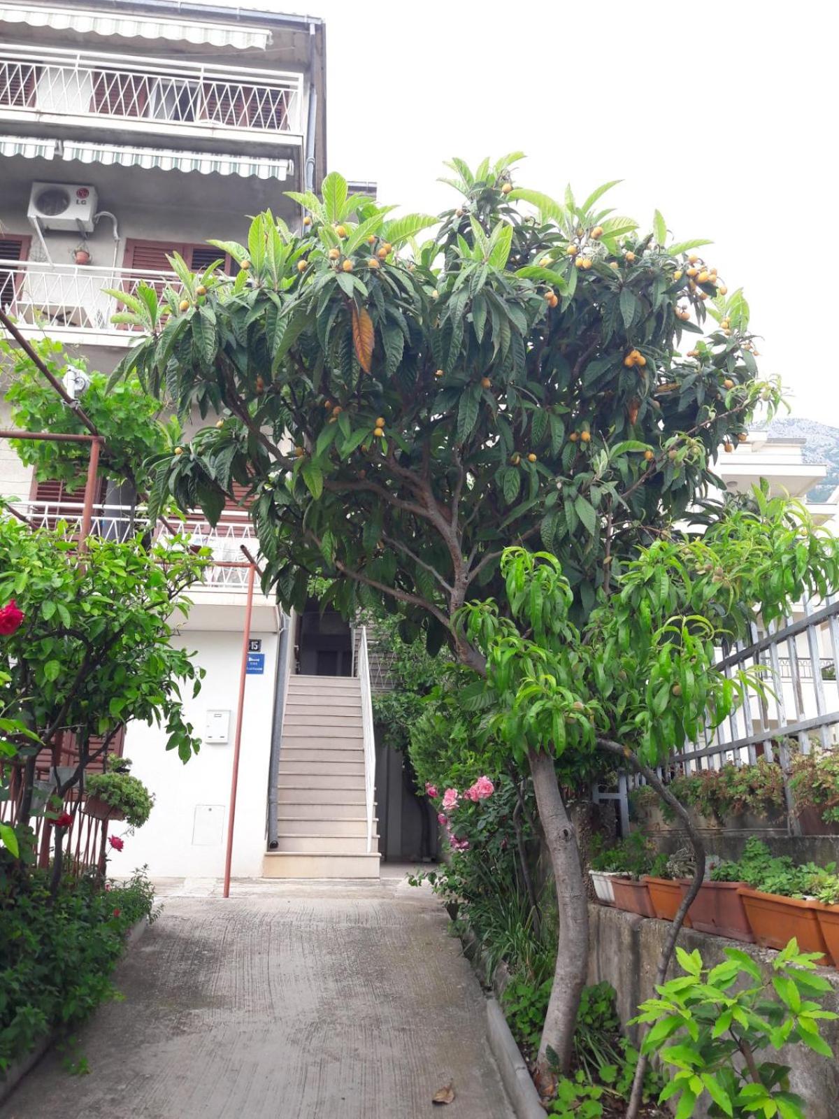 Apartman Adriatic Pavlinovic - Makarska