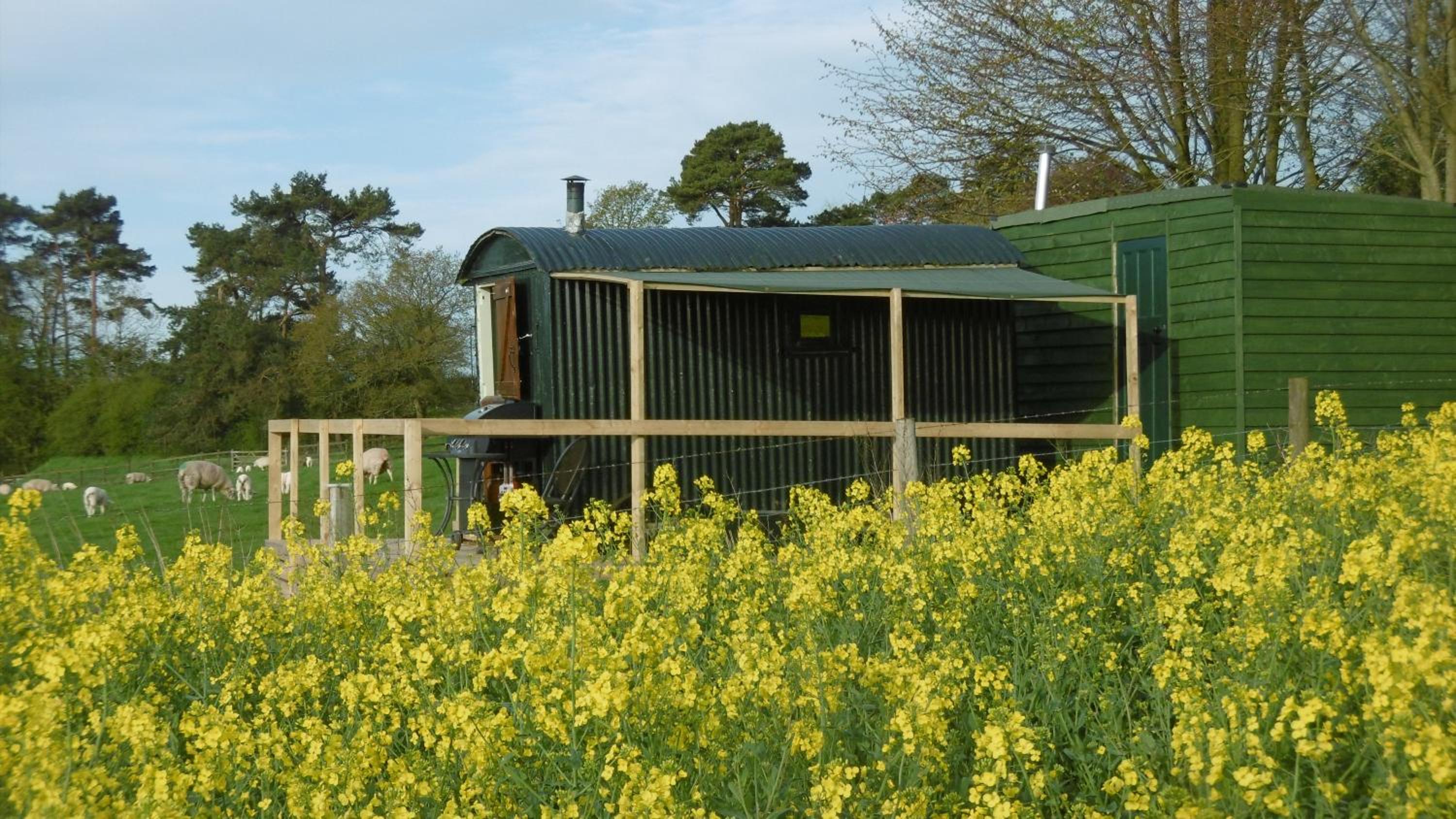 Shepherd's Hut