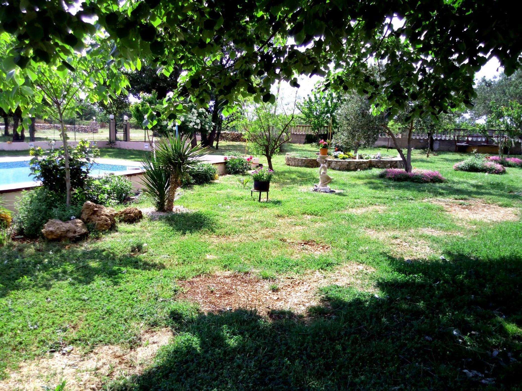 Photo 44