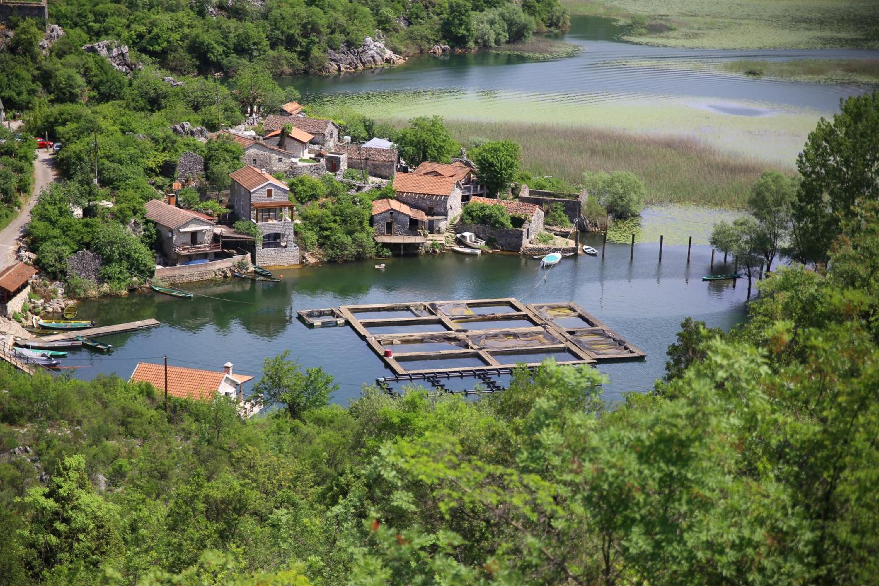 Villa Skadar Lake