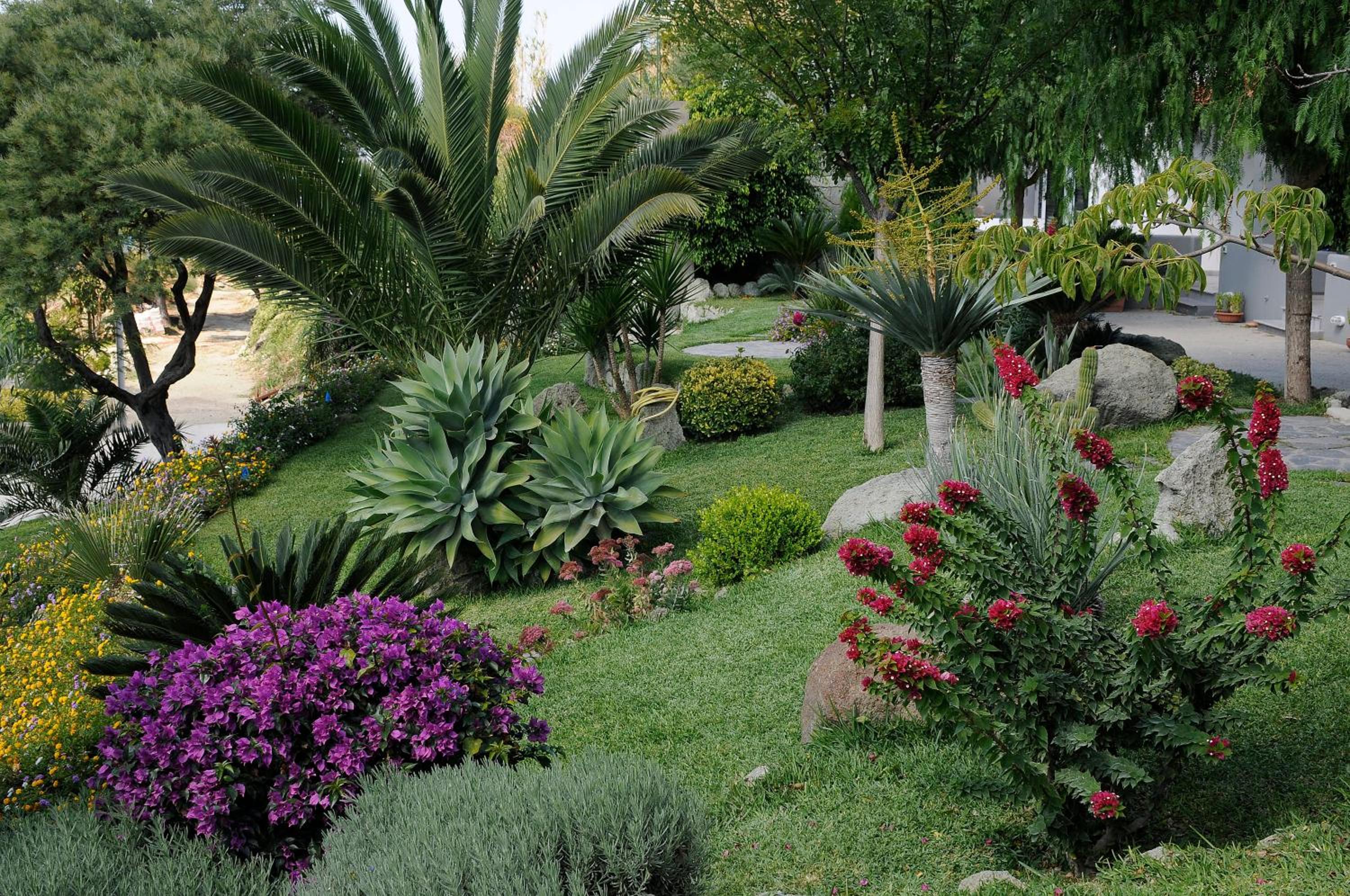 Casa Ischitana