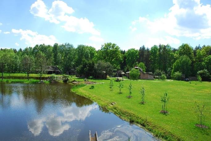 Bębnikąt Osada Leśna Puszcza Notecka view 3
