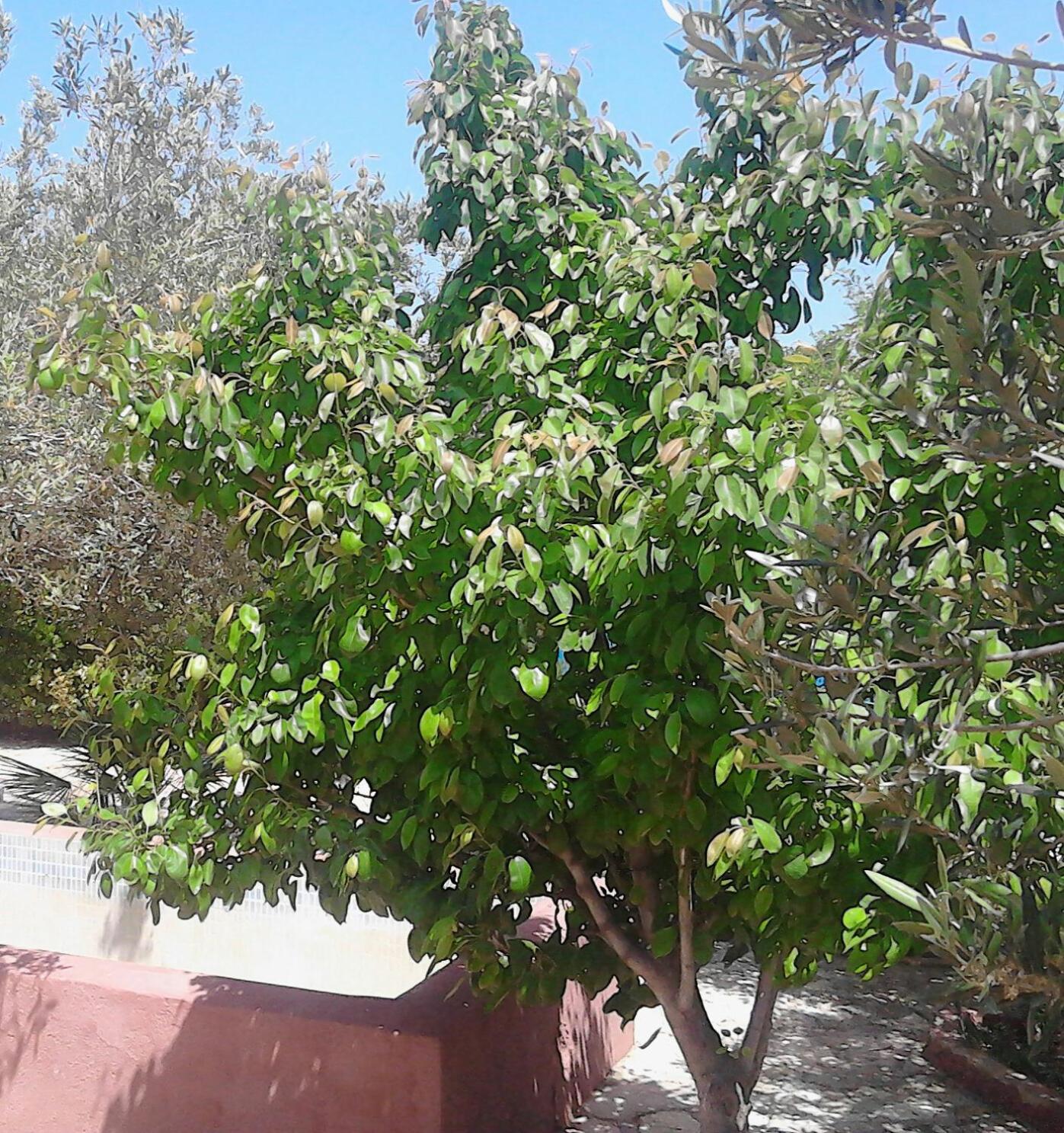 Photo 17