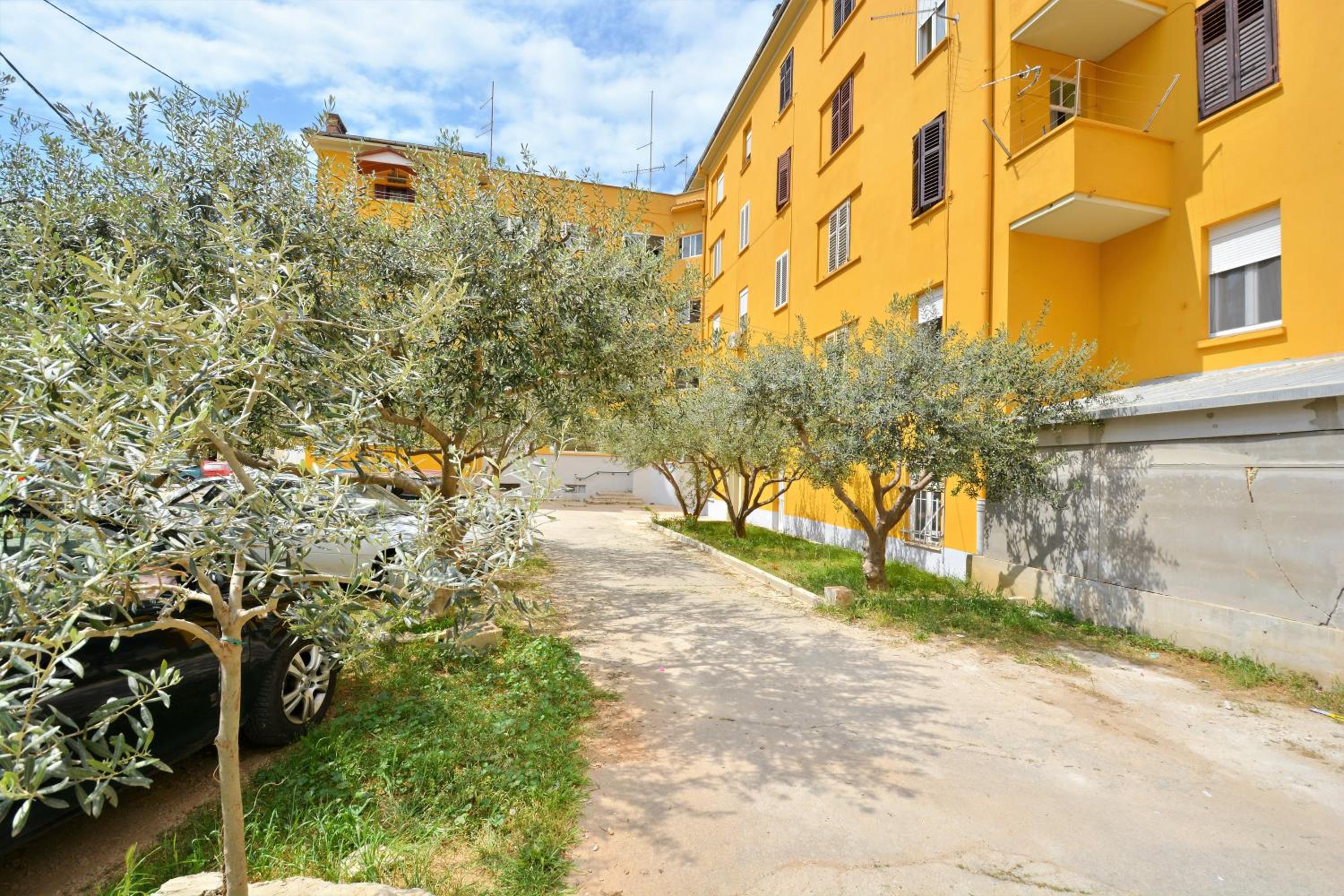Photo 30