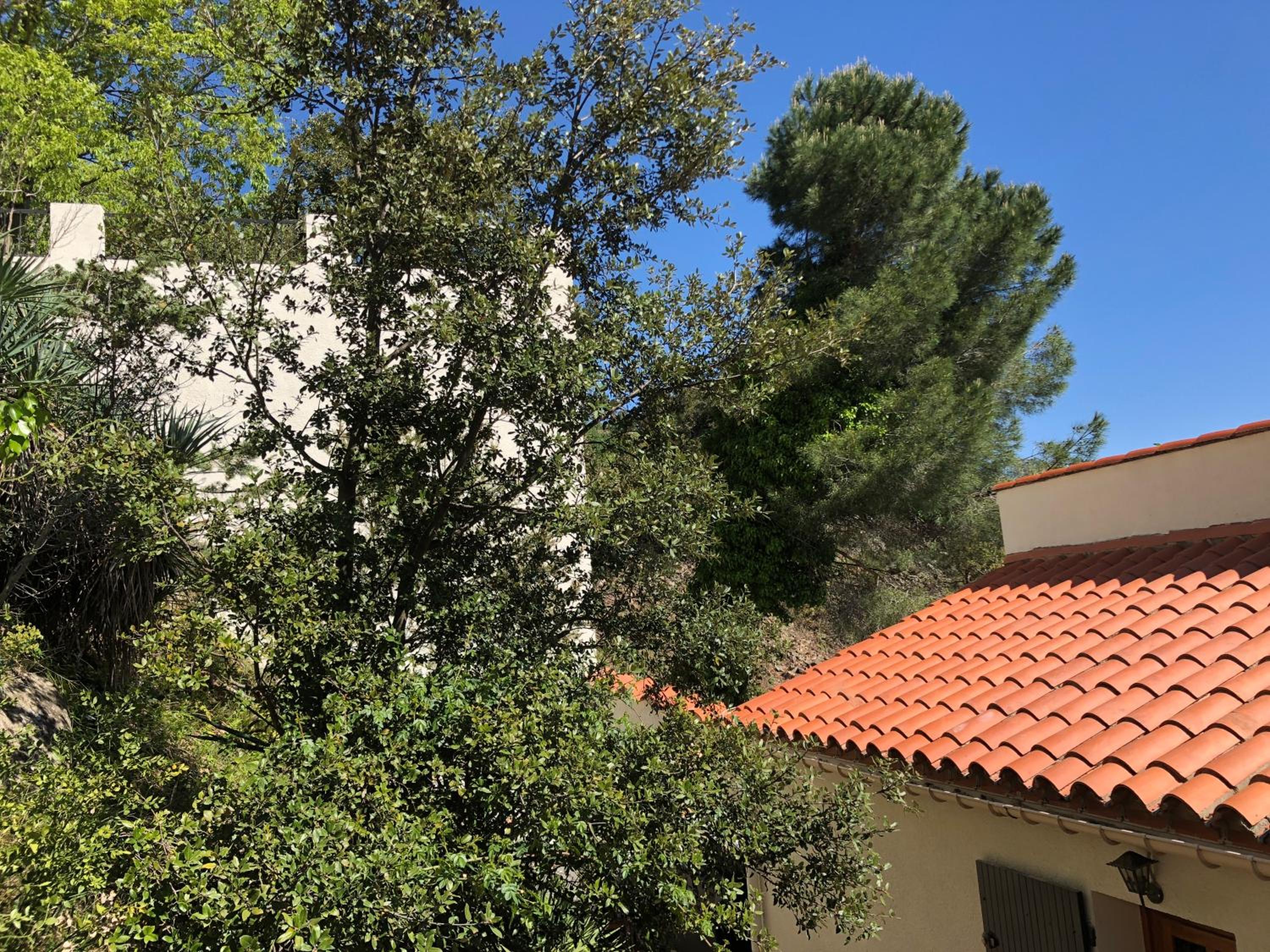 Villa Vallee Heureuse view 5