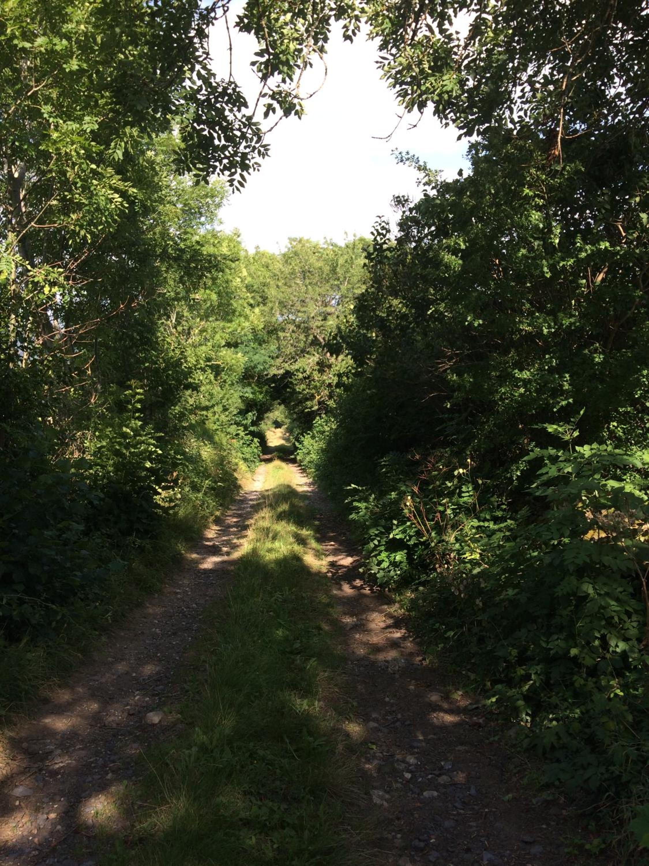 Photo 20