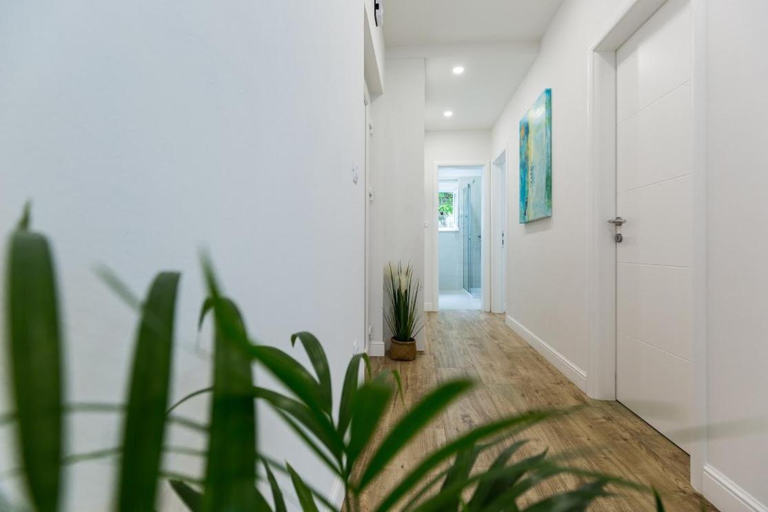 Apartment Perla view 2