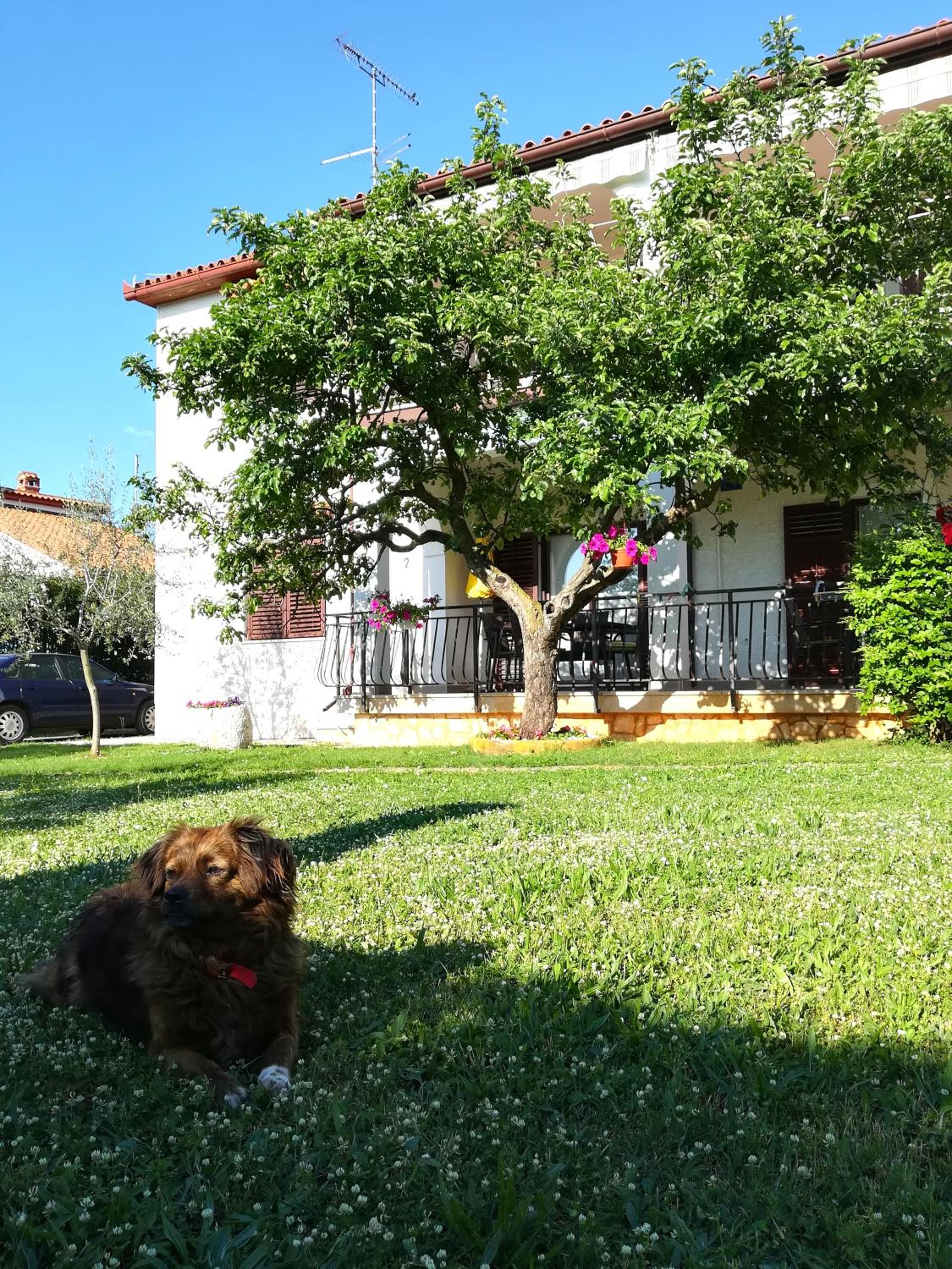 Photo 18