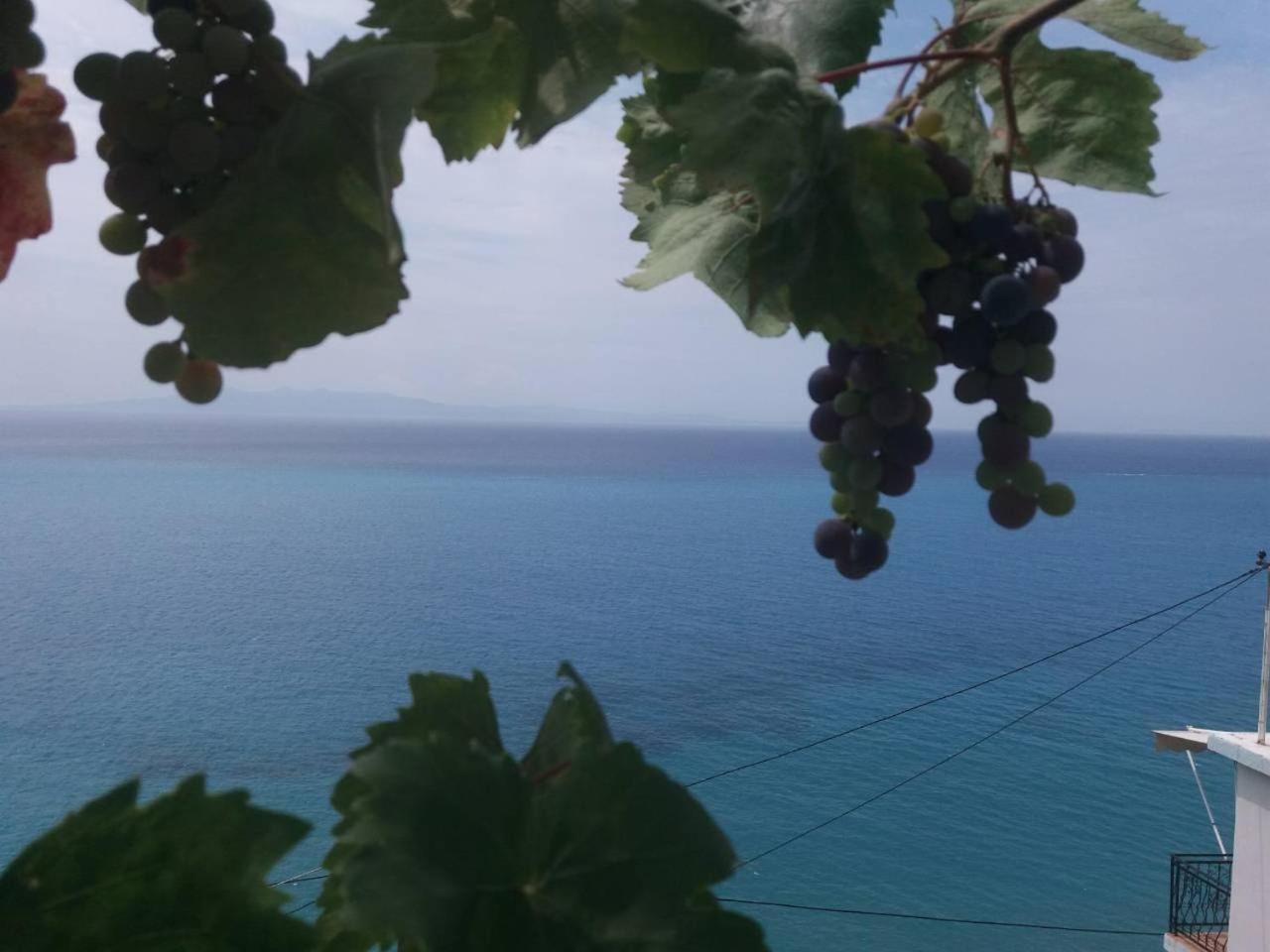 Blue View