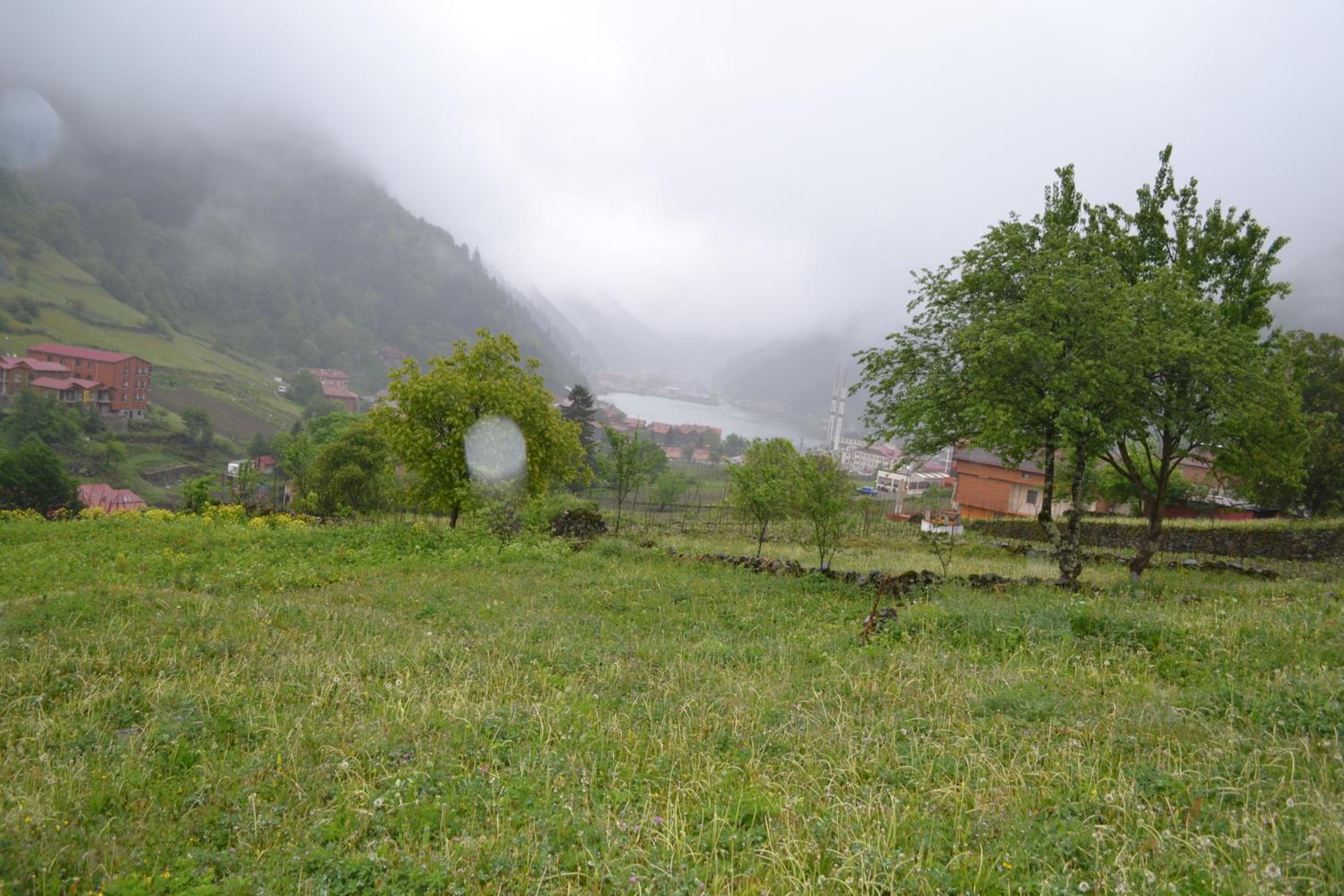 Photo 47