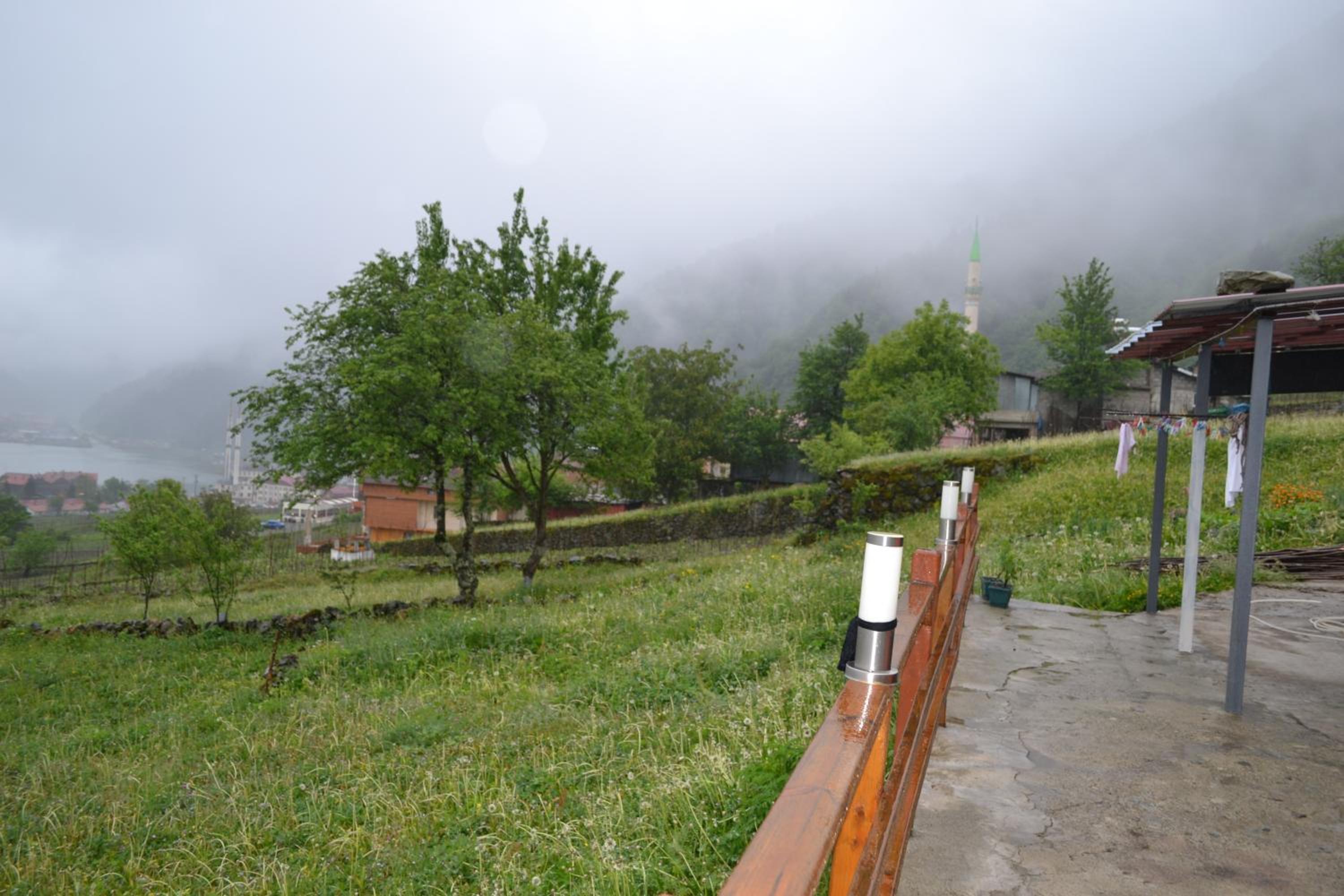 Photo 48