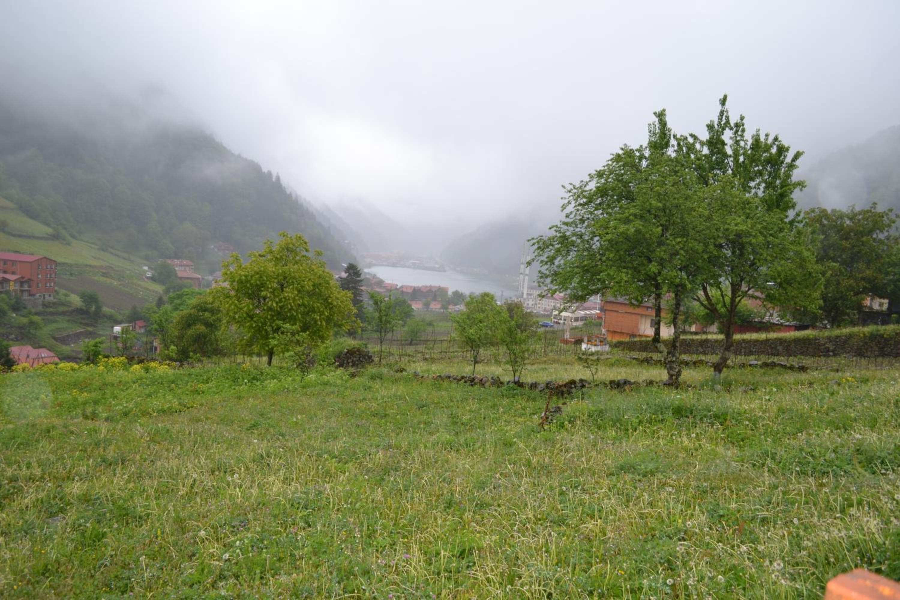 Photo 42