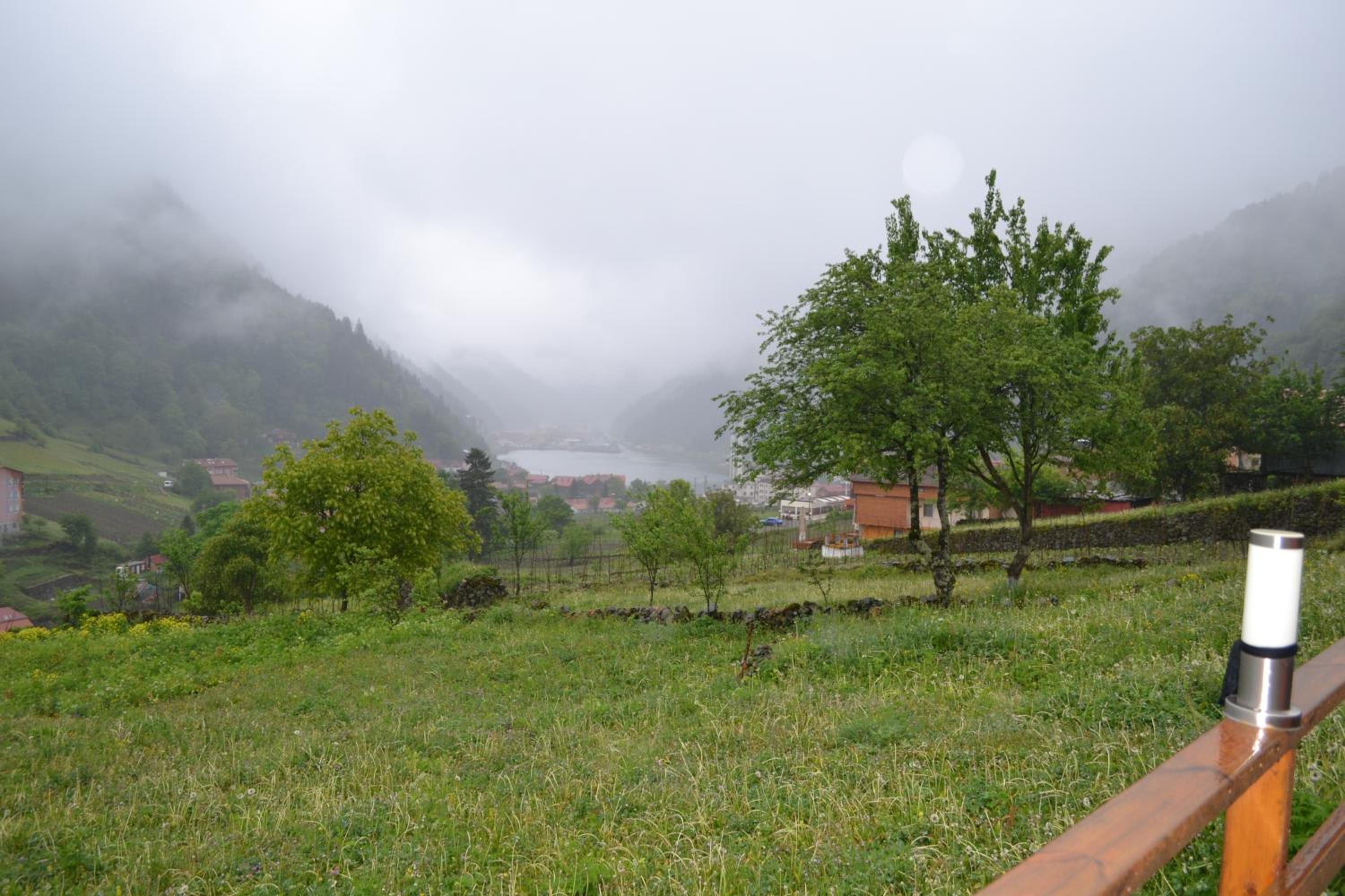 Photo 40