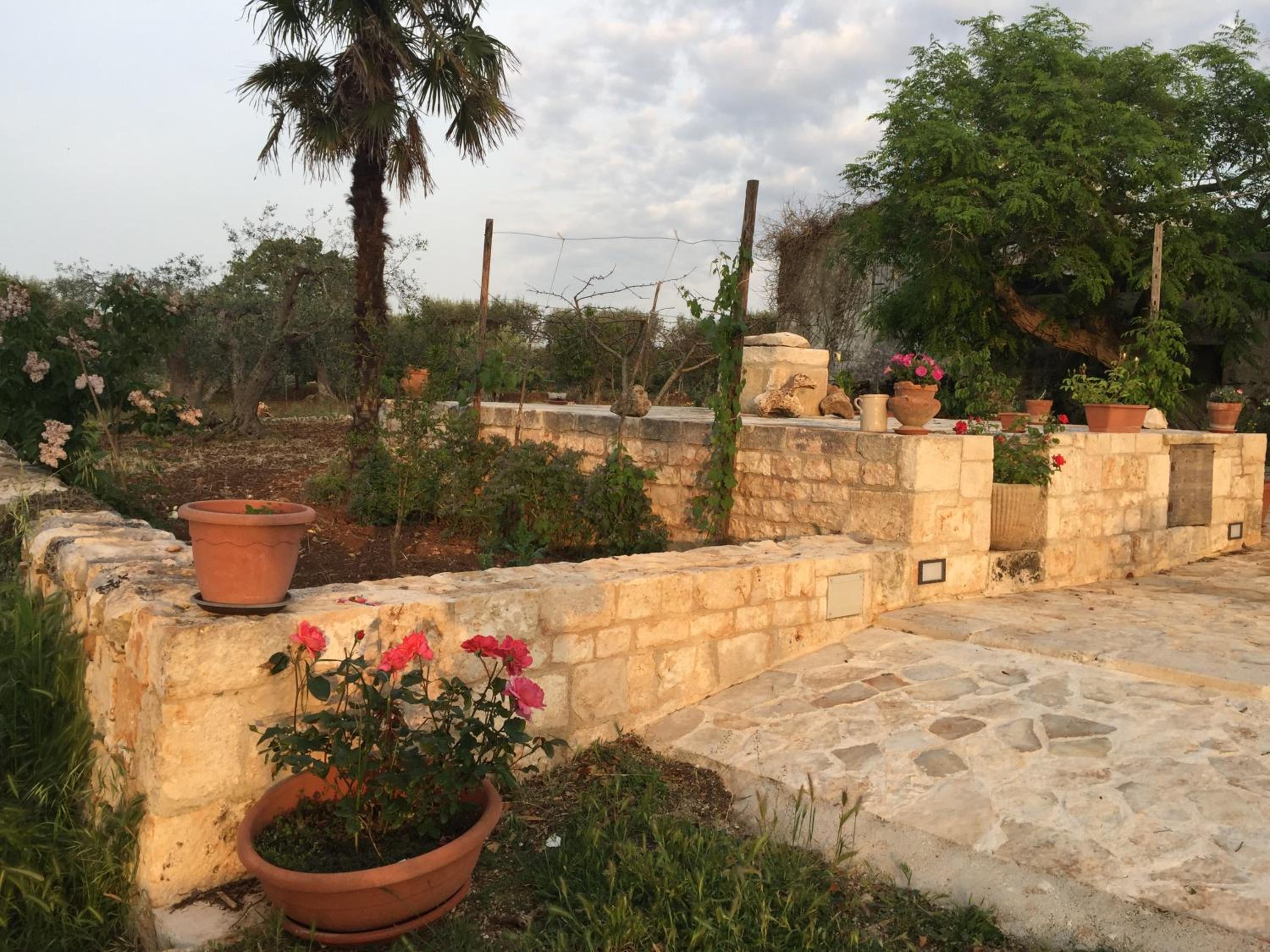 Photo 43