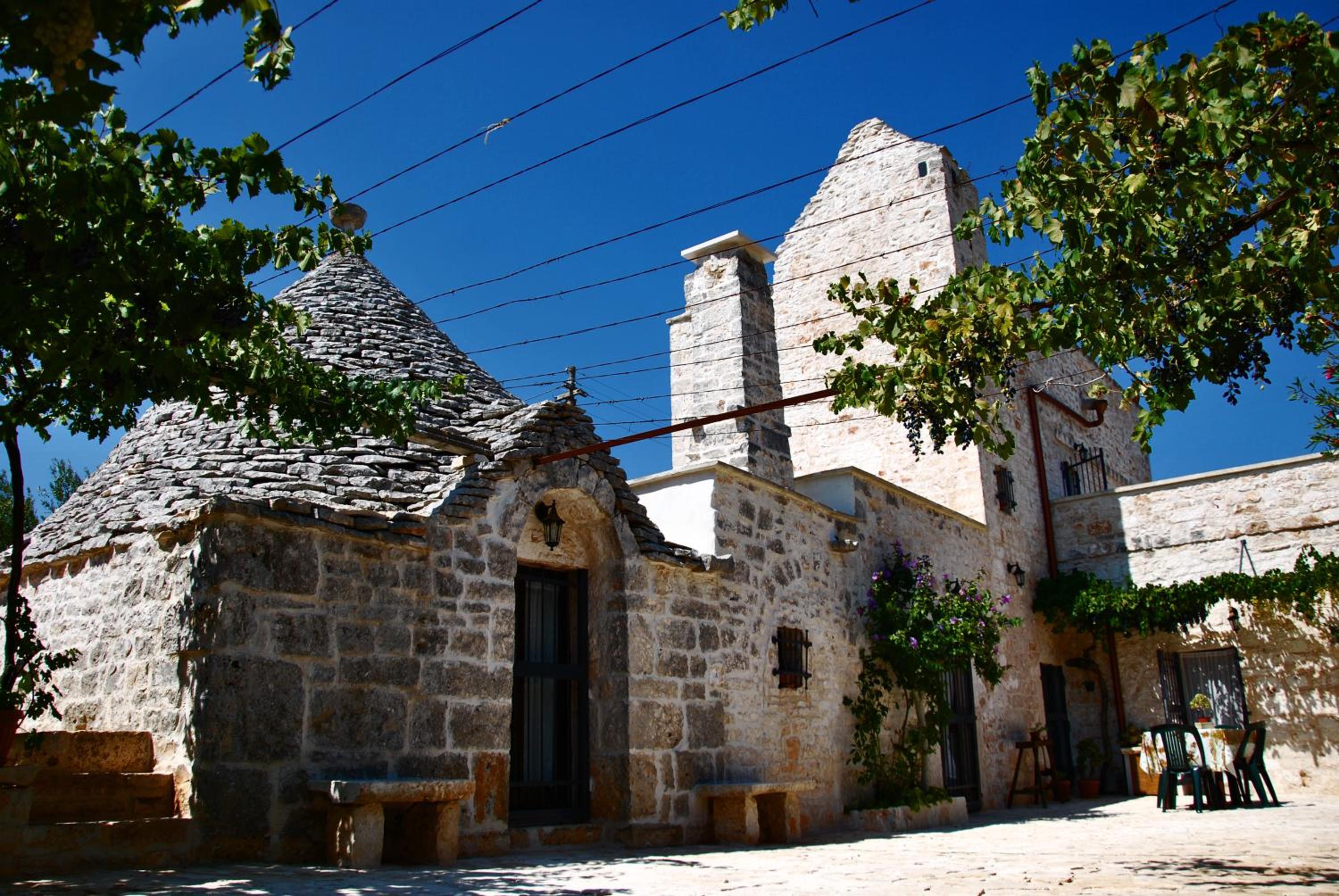 Photo 42