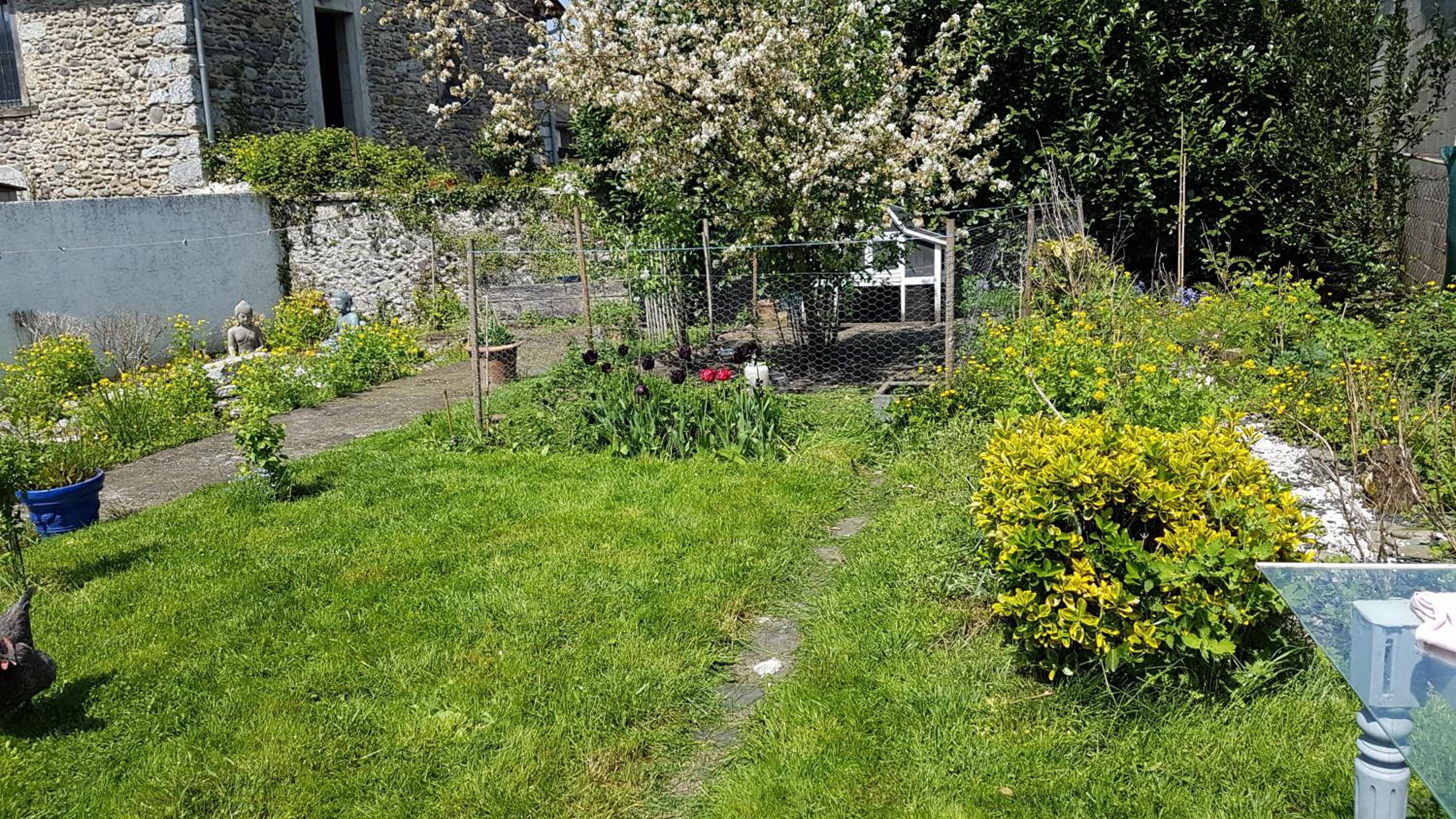 Photo 16